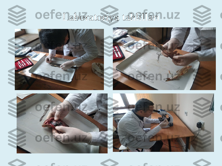 Laboratoriya tahlillari 