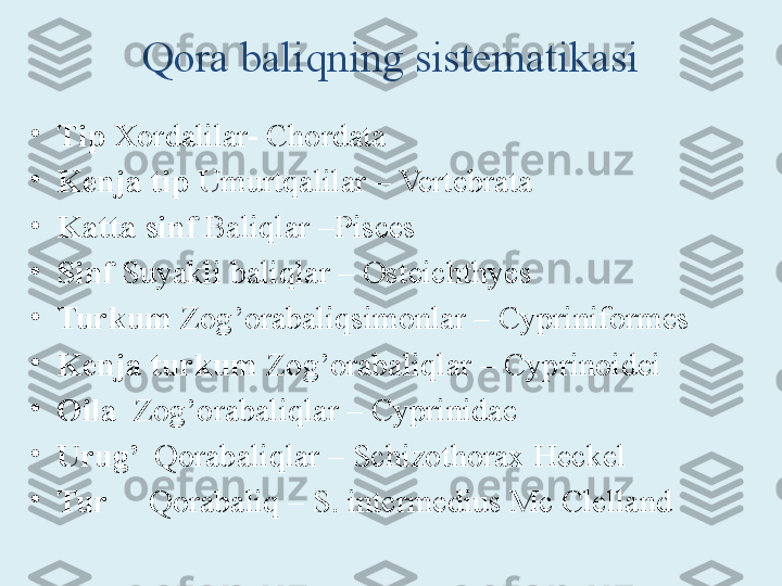 •
Tip  Xordalilar- Chordata
•
Kenja tip  Umurtqalilar – Vertebrata
•
Katta sinf  Baliqlar –Pisces
•
Sinf  Suyakli baliqlar – Osteichthyes
•
Turkum  Zog’orabaliqsimonlar – Cypriniformes
•
Kenja turkum  Zog’orabaliqlar – Cyprinoidei
•
Oila   Zog’orabaliqlar – Cyprinidae
•
Urug’   Qorabaliqlar – Schizothorax Heckel
•
Tur      Qorabaliq – S. intermedius Mc ClellandQora baliqning sistematikasi 