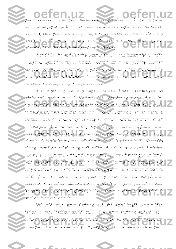 yuqori   qavatlarining   faoliyatini   saqlab   turuvchi   quvvat   bo’limi   (miyaning   yuqori
bo’limlarida   joylashgan);   2   –   axborotni   qabul   qilish,   qayta   ishlash   va   saqlash
bo’limi   (ikkala   yarim   sharlarning   tepa,   ensa   va   chakka   bo’limlarini   o’z   ichiga
oladi);   3   –   faoliyatni   oldindan   belgilash,   boshqarish   va   nazorat   qilishni
ta’minlovchi bo’lim (po’stloqning peshona bo’limlari). 
Birinchi   bo’lim   vazifalarining   zararlanishida   diqqat   barqarorligi   yo’qolib,
loqaydlik,   uyquchilik   paydo   bo’ladi.   Ikkinchi   bo’lim   faoliyatining   buzilishi
sezgirlik   (teri   va   proprioseptiv)ning   yo’qolishiga   sabab   bo’ladi,   harakatlarning
aniqligi buziladi va h.k. Uchinchi bo’limning zararlanishi xulq-atvor nuqsonlariga,
harakatlar sohasidagi o’zgarishlarga olib keladi. 
Bosh   miyasining   tuzilishiga   tegishli   ko’plab   farazlar,   konsepsiyalar   va
tajriba   ma’lumotlari   mavjud.   Akademik   P.K.   Anoxinning   taxminlariga   ko’ra,
peshona po’stlog’ining faoliyati miyaning alohida vazifalari – xotira, qabul qilish,
motivasiyalar,  hissiyotlar   bilan   bog’liq   bo’lmasdan,   ularning   qo’shilishini   amalga
oshiradi, xolos. Amerikalik neyropsixolog K. Pribram fikricha, peshona po’stlog’i
motivasiyalar   (ochlik,   tashnalik,   jinsiy   ehtiyoj)   ni   tashqi   rag’batlar   bilan
taqqoslaydi,   va   bu   taqqoslash   asosida   niyatlar   yoki   istalgan   oqibatlarni   hisobga
olgan holda harakatlar dasturini tuzib chiqadi. Polshalik tadqiqotchi Yu. Konorskiy
oldinga   qaratilgan   po’stloqning   turli   bo’limlari   turlicha   vazifalarni,   jumladan,
fazoviy   yoki   vaqtincha   xotira,   tirik   mavjudot   yoki   jonsiz   jismning   izidan   borish
kabi   vazifalarni   bajarishiga   amin   bo’lgan   edi.   Hozirda   miya   termografiyasi
bo’yicha o’tkazilgan oxirgi tadqiqotlarga asoslangan  holda ishonch bilan peshona
po’stlog’ida   inson   tashqi   muhitning   taxminiy   obrazi   bilan   real   vaziyat   bilan
taqqoslash sodir bo’ladi, deb tasdiqlash mumkin. Agar miyaning bu bo’limi zarar
ko’rgan (o’sma, jarohat, yallig’lanish) bo’lsa, tashqi muhitni real holda qabul qilish
va o’zini baholash izdan chiqadi. 
Ma’lumki,   chap   yarim   sharining   vazifasini   verbal-belgili   axborot   bilan
ishlash:   o’qish,   hisoblash   tashkil   etadi.   O’ng   yarim   sharining   vazifasi   esa   –
obrazlar   bilan   ish   ko’rish,   fazoda   harakatni   aniqlash   va   shu   kabilar   hisoblanadi.
Chap yarim shari «mantiq»ni, o’ngi – «ijodiy jarayon»ni nazorat qiladi; chap yarim 