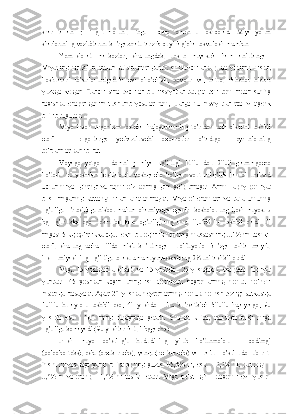 shari   tananing   o’ng   tomonini,   o’ngi   –   chap   tomonini   boshqaradi.   Miya   yarim
sharlarining vazifalarini ko’rgazmali tarzda quyidagicha tasvirlash mumkin 
Yemosional   markazlar,   shuningdek,   inson   miyasida   ham   aniqlangan.
Miyaning   bir   xil   nuqtalari   ta’sirlantirilganda   sinaluvchilarda   juda   yoqimli   hislar,
boshqalari   ta’sirlantirilganda   esa   cho’chish,   xavotir   va,   hatto,   dahshat   hislari
yuzaga   kelgan.   Garchi   sinaluvchilar   bu   hissiyotlar   tadqiqotchi   tomonidan   sun’iy
ravishda   chaqirilganini   tushunib   yesalar   ham,   ularga   bu   hissiyotlar   real   voqyelik
bo’lib tuyuladi. 
Miya   inson   organizmi   barcha   hujayralarining   to’rtdan   uch   qismini   tashkil
etadi.   U   organlarga   yetkaziluvchi   axborotlar   o’tadigan   neyronlarning
to’plamlaridan iborat. 
Voyaga   yetgan   odamning   miya   og’irligi   1100   dan   2000   grammgacha
bo’ladi.   20   yoshdan   boshlab   60   yoshgacha   bo’lgan   vaqt   orlig’ida   har   bir   individ
uchun miya og’irligi va hajmi o’z doimiyligini yo’qotmaydi. Ammo aqliy qobliyat
bosh   miyaning   kattaligi   bilan   aniqlanmaydi.   Miya   o’lchamlari   va   tana   umumiy
og’irligi o’rtasidagi  nisbat  muhim ahamiyatga egadir: kashalotning bosh miyasi 9
kg   og’irlikka   ega,   lekin   bu   tana   og’irligining   atigi   0,02%   ini   tashkil   etadi;   fil
miyasi 5 kg og’irlikka ega, lekin bu og’irlik umumiy massasining 0,1% ini tashkil
etadi,   shuning   uchun   filda   misli   ko’rilmagan   qobiliyatlar   ko’zga   tashlanmaydi;
inson miyasining og’irligi tanasi umumiy massasining 2% ini tashkil etadi. 
Miya   15   yoshgacha   o’sadi   va   15   yoshdan   25   yoshgacha   esa   jadal   faoliyat
yuritadi.   45   yoshdan   keyin   uning   ish   qobiliyati   neyronlarning   nobud   bo’lishi
hisobiga   pasayadi.   Agar   20   yoshda   neyronlarning   nobud   bo’lish   tezligi   sutkasiga
10000   hujayrani   tashkil   esa,   40   yoshda   –   bu   ko’rsatkich   50000   hujayraga,   90
yoshda   esa   –   100   ming   hujayraga   yetadi.   Shunga   ko’ra,   qarishda   bosh   miya
og’irligi kamayadi (90 yoshlarda 1,1 kggacha). 
Bosh   miya   po’stlog’i   hududining   yirik   bo’linmalari   –   qadimgi
(paleokorteks), eski (arxikorteks), yangi (neokorteks) va oraliq po’stloqdan iborat.
Inson   miyasidagi   yangi   po’stloqning  yuzasi   95,6%   ni,  eski   –   2,2%   ni,  qadimgi   –
0,6%   ni   va   oraliq   –   1,6%   ni   tashkil   etadi.   Miya   po’stlog’i   –   davomli   evolyusion 