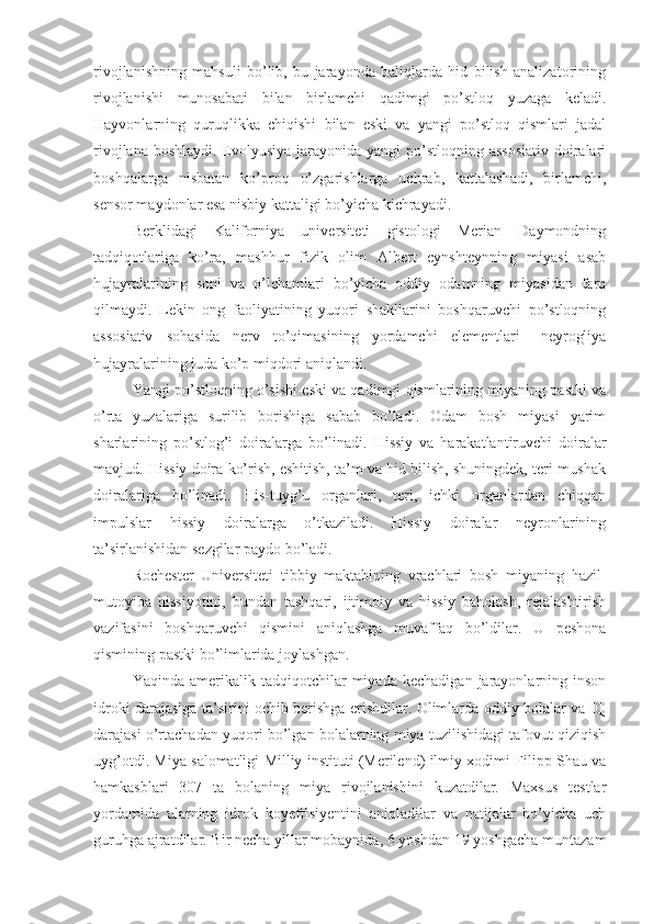 rivojlanishning   mahsuli   bo’lib,   bu   jarayonda   baliqlarda   hid   bilish   analizatorining
rivojlanishi   munosabati   bilan   birlamchi   qadimgi   po’stloq   yuzaga   keladi.
Hayvonlarning   quruqlikka   chiqishi   bilan   eski   va   yangi   po’stloq   qismlari   jadal
rivojlana boshlaydi. Evolyusiya jarayonida yangi po’stloqning assosiativ  doiralari
boshqalarga   nisbatan   ko’proq   o’zgarishlarga   uchrab,   kattalashadi,   birlamchi,
sensor maydonlar esa nisbiy kattaligi bo’yicha kichrayadi. 
Berklidagi   Kaliforniya   universiteti   gistologi   Merian   Daymondning
tadqiqotlariga   ko’ra,   mashhur   fizik   olim   Albert   eynshteynning   miyasi   asab
hujayralarining   soni   va   o’lchamlari   bo’yicha   oddiy   odamning   miyasidan   farq
qilmaydi.   Lekin   ong   faoliyatining   yuqori   shakllarini   boshqaruvchi   po’stloqning
assosiativ   sohasida   nerv   to’qimasining   yordamchi   elementlari   –neyrogliya
hujayralarining juda ko’p miqdori aniqlandi. 
Yangi po’stloqning o’sishi eski va qadimgi qismlarining miyaning pastki va
o’rta   yuzalariga   surilib   borishiga   sabab   bo’ladi.   Odam   bosh   miyasi   yarim
sharlarining   po’stlog’i   doiralarga   bo’linadi.   Hissiy   va   harakatlantiruvchi   doiralar
mavjud. Hissiy doira ko’rish, eshitish, ta’m va hid bilish, shuningdek, teri-mushak
doiralariga   bo’linadi.   His-tuyg’u   organlari,   teri,   ichki   organlardan   chiqqan
impulslar   hissiy   doiralarga   o’tkaziladi.   Hissiy   doiralar   neyronlarining
ta’sirlanishidan sezgilar paydo bo’ladi. 
Rochester   Universiteti   tibbiy   maktabining   vrachlari   bosh   miyaning   hazil-
mutoyiba   hissiyotini,   bundan   tashqari,   ijtimoiy   va   hissiy   baholash,   rejalashtirish
vazifasini   boshqaruvchi   qismini   aniqlashga   muvaffaq   bo’ldilar.   U   peshona
qismining pastki bo’limlarida joylashgan. 
Yaqinda   amerikalik   tadqiqotchilar   miyada   kechadigan   jarayonlarning   inson
idroki darajasiga ta’sirini ochib berishga erishdilar. Olimlarda oddiy bolalar va IQ
darajasi o’rtachadan yuqori bo’lgan bolalarning miya tuzilishidagi tafovut qiziqish
uyg’otdi. Miya salomatligi Milliy instituti (Merilend) ilmiy xodimi Filipp Shau va
hamkasblari   307   ta   bolaning   miya   rivojlanishini   kuzatdilar.   Maxsus   testlar
yordamida   ularning   idrok   koyeffisiyentini   aniqladilar   va   natijalar   bo’yicha   uch
guruhga ajratdilar. Bir necha yillar mobaynida, 6 yoshdan 19 yoshgacha muntazam 