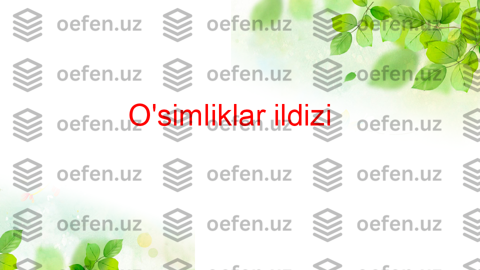 O'simliklar ildizi 