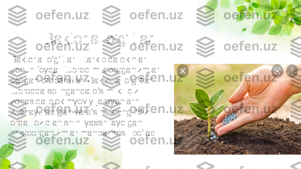 Bakterial o'g'itlar
Bakterial o g itlar – tarkibida ekinlar ʻ ʻ
uchun foydali tuproq mikroorganizmlari 
bo lgan preparatlar. Bakterial o g itlar 	
ʻ ʻ ʻ
tuproqqa solinganda o simlik ildizi 	
ʻ
zonasida biokimyoviy jarayonlarni 
kuchaytiradigan va o simlikning ildiz 	
ʻ
orqali oziqlanishini yaxshilaydigan 
mikroorganizmlar manbai hosil bo ladi	
ʻ 