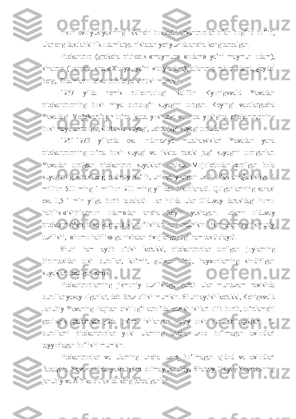 Inson   evolyusiyasining   ikkinchi   bosqichi   arxantroplar   bilan   bog‘liq   bo‘lib,
ular eng dastlabki ilk odamlarga nisbatan yer yuzida ancha keng tarqalgan.
Pitekantrop   (grekcha   pithecos -«maymun»   «odam»   ya’ni   maymun   odam),
sinatrop  (lotincha   sina -«Xitoy»,  ya’ni   xitoy  odam),  atlantrop  rabot   odami,  geydel
berg,. Odamlarini arxantroplarga kiritish mumkin.
1937   yilda   nemis   poleontologi   Ralffon   Kyonigsvald   Yavadan
pitekantropning   bosh   miya   qopqog‘i   suyagini   topgan.   Keyingi   vaqtlargacha
Yavadagi   Mojokertidan   to‘rta   katta   yoshdagi   va   bitta   yoshgina   pitekantropning
bosh miya qopqog‘i, oltita son suyagi, uchta jag‘ suyagi topildai. 
1961-1972   yillarda   esa   Indoneziya   mutahassislari   Yavadan   yana
pitekantropning   to‘rta   bosh   suyagi   va   ikkita   pastki   jag‘   suyagini   topiganlar.
Yavadan   topilgan   pitekantrop   suyaklari   oraisda   Mojolertodan   topilgan   bola
suyagining  sanasi   eng qadimiy  bo‘lib,  uni   kaliy-argon  usuli   bilan  aniqlanishiga  1
million   500   ming-1   million   900   ming   yil   deb   hisoblanadi.   Qolganlarining   sanasi
esa   0,5-1   mln   yilga   borib   taqaladi.   Har   holda   ular   Olduvay   darasidagi   homo
habilis-«ishbilarmon   odam»dan   ancha   keyin   yashagan.   Lekmn   olduvay
pitekantroplari  bilan zamondosh bo‘lishlari ham  mumkin. Buni  ularning jismoniy
tuzilishi,  «homo habilis» ga nisbatan rivojlanganligi ham tasdiqlaydi.
Shuni   ham   aytib   o‘tish   kerakki,   pitekantroplar   topilgan   joylarning
birontasidan   tosh   qurollar,   ko‘mir,   gulxan   o‘rni,   hayvonlarning   sindirilgan
suyaklari topilgan emas.
Pitekantroplarning   jismoniy   tuzilishiga   qarab   ular   muntazam   ravishda
qurollar yasay olganlar, deb faraz qilish mumkin. Shuni aytish kerakki, Kenigsvald
Janubiy   Yavaning   Patjitan   qishlog‘i   atrofida   qazish   ishlari   olib   borib,   to‘rtlamchi
geologik   qatlamdan   juda   qo‘pol   ishlangan   oddiy   tosh   qurollar   topilgan.   Bu
qurollarni   pitekantroplar   yoki   ularning   uncha   uzoq   bo‘lmagan   avlodlari
tayyorlagan bo‘lishi mumkin.
Pitekantroplar   va   ularning   uncha   uzoq   bo‘lmagan   ajdod   va   avlodlari
faqatgina   Yava   orolida   yashabgina   qolmay   Janubiy,   Sharqiy   Osiyo,   Yevropaning
janubiy va Afrika qit’asida keng tarqalganlar. 