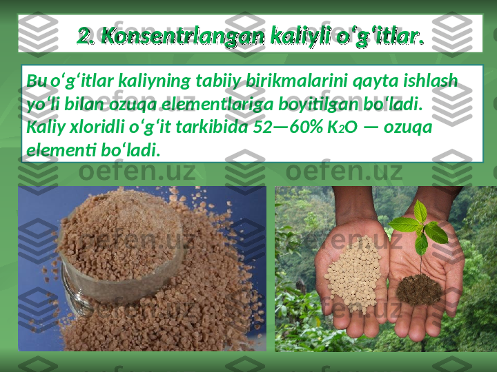 2. Konsentrlangan kaliyli o‘g‘itlar.2. Konsentrlangan kaliyli o‘g‘itlar.
Bu   o‘g‘itlar kaliyning tabiiy birikmalarini qayta ishlash 
yo‘li bilan ozuqa elementlariga boyitilgan bo‘ladi. 
Kaliy xloridli o‘g‘it tarkibida 52—60% K 2 O — ozuqa 
elementi bo‘ladi. 