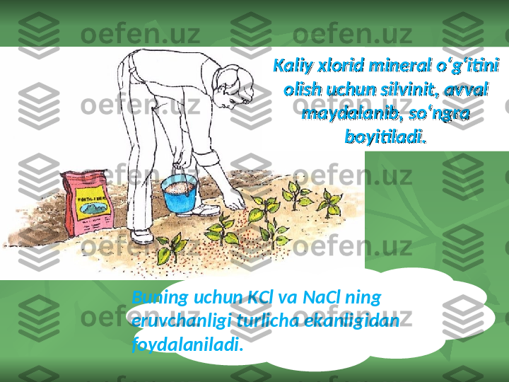 Kaliy xlorid mineral o‘g‘itini Kaliy xlorid mineral o‘g‘itini 
olish uchun silvinit, avval olish uchun silvinit, avval 
maydalanib, so‘ngra maydalanib, so‘ngra 
boyitiladi.boyitiladi.
Buning uchun KCl va NaCl ning 
eruvchanligi turlicha ekanligidan 
foydalaniladi. 