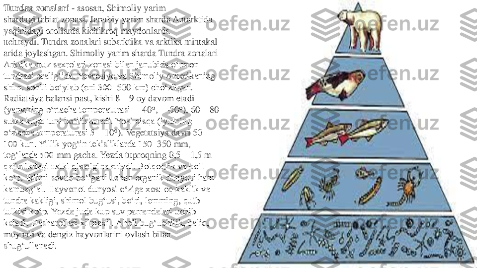 Tundra zonalari	-	asosan,	Shimoliy yarim 	
shardagi	tabiat zonasi,	Janubiy yarim	sharda	Antarktida 	
yaqinidagi orollarda kichikroq maydonlarda 
uchraydi.	Tundra	zonalari	subarktika	va	arktika	mintakal	
arida joylashgan. Shimoliy yarim sharda Tundra zonalari 
Arktika muz saxrolari zonasi bilan janubida oʻrmon 
tundrasi oraligʻida. Yevrosiyo va Shimoliy Amerikaning 
shim. sohili boʻylab (eni 300	–500	km) choʻzilgan. 	
Radiatsiya balansi past, kishi 8	—	9 oy davom etadi 	
(yanv.ning oʻrtacha temperaturasi 	—	40	°, —	50	°), 60	—	80 	
sutka kugb tuni boʻlib turadi. Yozi qisqa (iyulning 
oʻrtacha temperaturasi 5	—	10	°). Vegetatsiya davri 50	—	
100 kun. Yillik yogʻin tekisliklarda 150	–350	mm, 	
togʻlarda 500	mm gacha. Yezda tuproqning 0,5	—	1,5 m 	
qalinlikdagi ustki qismigina eriydi. Botqoqlik va koʻl 
koʻp. Iklimi sovuq boʻlgani uchun organik dunyosi ham 
kambagʻal. Hayvonot dunyosi oʻziga xos: oq kaklik va 
tundra kakligi, shimol bugʻusi, boʻri, lemming, qutb 
tulkisi koʻp. Yezda juda kup suv parrandalari uchib 
keladi. Hasharotlari xilmaxil. Aholi bugʻuchilik, baliq, 
muynali va dengiz hayvonlarini ovlash bilan 
shugʻullanadi. 