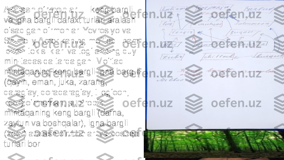 Aralash oʻrmonlar	—	keng bargli 	
va igna bargli daraxt turlari aralash 
oʻsadigan oʻrmonlar. Yevrosiyo va 
Shimoliy Amerikaning moʻ’tadil nam 
iqlimli tekisliklari va togʻlarining quyi 
min	-taqasida tarqalgan. Moʻ’tadil 	
mintaqaning keng bargli	-igna barg	-li 	
(qayin, eman, juka, zarang, 
qaragʻay, qoraqaragʻay, tilogʻoch, 
kedr) oʻrmonlari, subtropik 
mintaqaning keng bargli (dafna, 
zaytun va boshqalar), igna bargli 
(kedr) aralash oʻrmonlari va boshqa 
turlari bor 