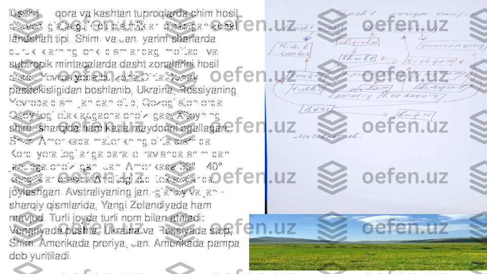 Dasht	—	qora va kashtan tuproqlarda chim hosil 	
qiluvchi gʻalla gulli oʻt oʻsimliklari oʻsadigan zonal 
landshaft tipi. Shim. va Jan. yarim sharlarda 
qurukliklarning ichki qismlaridagi moʻʼtadil va 
subtropik mintaqalarda dasht zonalarini hosil 
qiladi. Yevrosiyoda bu zona Oʻrta Dunay 
pasttekisligidan boshlanib, Ukraina, Rossiyaning 
Yevropa qismi jan.dan oʻtib, Qozogʻiston orqali 
Oltoy togʻ etaklarigacha choʻzilgan. Xitoyning 
shim.	-sharqida ham katta maydonni egallagan. 	
Shim. Amerikada materikning oʻrta qismida 
Kordilyera togʻlariga parallel ravishda shim.dan 
janubga choʻzilgan. Jan. Amerikada 30	°—	40	°	
kengliklar orasida And togʻ oldi tekisliklarida 
joylashgan. Avstraliyaning jan.	-gʻarbiy va jan.	-	
sharqiy qismlarida, Yangi Zelandiyada ham 
mavjud. Turli joyda turli nom bilan ataladi: 
Vengriyada pushta, Ukraina va Rossiyada step, 
Shim. Amerikada preriya, Jan. Amerikada pampa 
deb yuritiladi. 