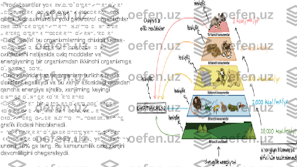 •Produtsentlar	yoki avtotrof organizmlar oʻzlari 	
uchun kerakli boʻlgan organik moddalarni hosil 
qiladi.	Konsumentlar	yoki geterotrof organizmlar 	
esa boshqa organizmlarni isteʼmol qilish orqali 
ulardagi organik moddalarni oʻzlashtiradilar.
•Oziq zanjiri	bu organizmlarning chiziqli ketma	-	
ketligi boʻlib, bir organizm boshqasi bilan 
oziqlanishi natijasida oziq moddalar va 
energiyaning bir organizmdan ikkinchi organizmga 
oʻtishidan iborat.
•Oziq zanjirida har bir organizm turlicha	trofik 	
darajani	egallaydi va bu zanjir asosidagi qismdan 	
qancha energiya ajralib, zanjirning keyingi 
qismiga oʻtishiga koʻra farqlanadi.
•Oziq toʻrlari	bir	-biri bilan oʻzaro bogʻlangan 	
koʻplab oziq zanjirlaridan iborat va ular 
ekotizimdagi ozuqa isteʼmoli munosabatlarining 
grafik ifodasi hisoblanadi.
•Trofik darajalar oʻrtasida energiyaning biridan 
ikkinchisiga oʻtish unumdorligi past, yaʼni taxminiy 
unumi 10% ga teng. Bu kamunumlik oziq zanjiri 
davomliligini chegaralaydi. 