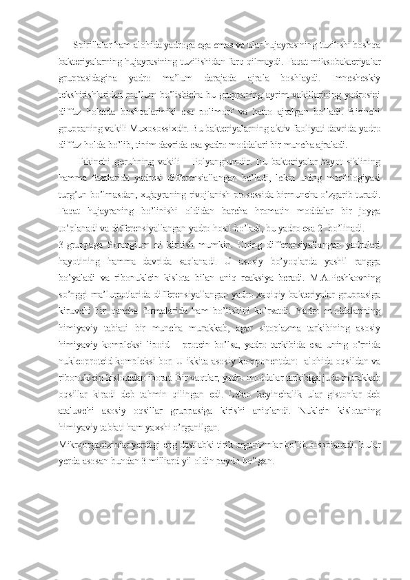       Spirillalar ham alohida yadroga ega emas va ular hujayrasining tuzilishi boshqa
bakteriyalarning hujayrasining tuzilishidan farq qilmaydi. Faqat miksobakteriyalar
gruppasidagina   yadro   ma’lum   darajada   ajrala   boshlaydi.   Imnesheskiy
tekshirishlaridan ma’lum  bo’lishicha  bu gruppaning ayrim  vakillarining yadrosini
diffuz   holatda   boshqalariniki   esa   polimorf   va   hatto   ajralgan   bo’ladi.   Birinchi
gruppaning vakili Muxosossixdir. Bu bakteriyalarning aktiv faoliyati davrida yadro
diffuz holda bo’lib, tinim davrida esa yadro moddalari bir muncha ajraladi.
          Ikkinchi   guruhning   vakili   –   Polyangiumdir.   Bu   bakteriyalar   hayot   siklining
hamma   fazalarida   yadrosi   differensiallangan   bo’ladi,   lekin   uning   morfologiyasi
turg’un bo’lmasdan, xujayraning rivojlanish prosessida birmuncha o’zgarib turadi.
Faqat   hujayraning   bo’linishi   oldidan   barcha   hromatin   moddalar   bir   joyga
to’planadi va differensiyallangan yadro hosil bo’ladi, bu yadro esa 2- bo’linadi.
3-gruppaga   Sorangium   ni   kiritish   mumkin.   Uning   differensiyallangan   yadrolari
hayotining   hamma   davrida   saqlanadi.   U   asosiy   bo’yoqlarda   yashil   rangga
bo’yaladi   va   ribonuklein   kislota   bilan   aniq   reaksiya   beradi.   M.A.Peshkovning
so’nggi ma’lumotlarida differensiyallangan yadro xaqiqiy bakteriyalar gruppasiga
kiruvchi   bir   qancha   formalarida   ham   bo’lishini   ko’rsatdi.   Yadro   moddalarining
himiyaviy   tabiati   bir   muncha   murakkab,   agar   sitoplazma   tarkibining   asosiy
himiyaviy   kompleksi   lipoid   –   protein   bo’lsa,   yadro   tarkibida   esa   uning   o’rnida
nukleoproteid kompleksi bor. U ikkita asosiy komponentdan:- alohida oqsildan va
ribonuklein kislotadan iborat. Bir vaqtlar, yadro moddalar tarkibiga juda murakkab
oqsillar   kiradi   deb   tahmin   qilingan   edi.   Lekin   keyinchalik   ular   gistonlar   deb
ataluvchi   asosiy   oqsillar   gruppasiga   kirishi   aniqlandi.   Nuklein   kislotaning
himiyaviy tabiati ham yaxshi o’rganilgan.      
Mikroorganizmlar yerdagi eng dastlabki tirik organizmlar bo’lib hisoblanadi. Bular
yerda asosan bundan 3 milliard yil oldin paydo bo’lgan. 