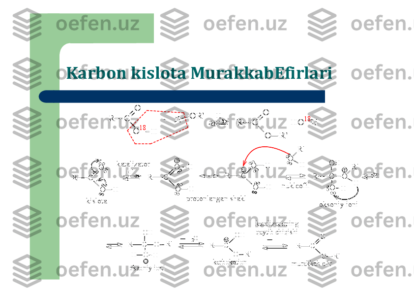 Karbon kislota MurakkabEfirlari	
R	C	
O
O	18	H	
R	C	
O
O	R	'	
+	H	O	R	'	
+	H	O	18H	
H	+	
R	C	
O
O	H	
H+	
R	C	
O
O	H
H	
R	C	
O
O	H
H	
O	
R	'
H	
R	C
O	H	
O	H
O	
R	'
H	
kislota	
katalizator	
protonlangan shakl	
nukleofil	
оksoniy ioni	
H+	
R	C
O	H
O	H
O	R'	
H
оksoniy ioni	
H2O	
R	C	
O	H	
O	R'	
karbokation	
R	C	
O
O	R'	
m	urakkab efir	
katalizatorning 	
qaytib chiqishi 