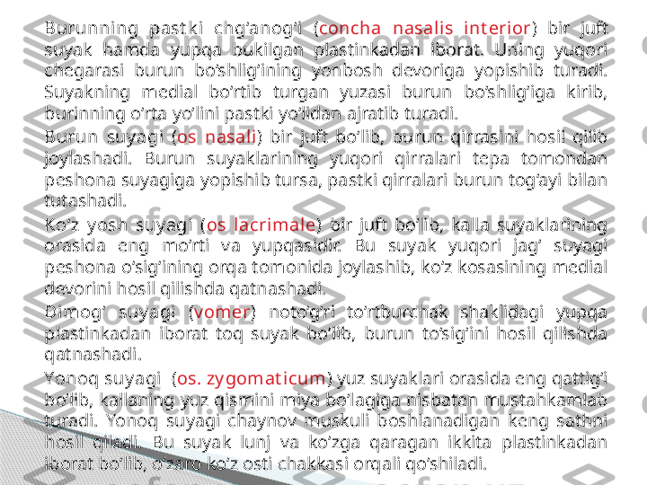 Burunning  past k i  chg‘anog‘i   ( concha  nasalis  int erior )  bir  juft 
suyak  hamda  yupqa  bukilgan  plastinkadan  iborat.  Uning  yuqori 
chegarasi  burun  bo‘shlig‘ining  yonbosh  devoriga  yopishib  turadi. 
Suyakning  medial  bo‘rtib  turgan  yuzasi  burun  bo‘shlig‘iga  kirib, 
burinning o‘rta yo‘lini pastki yo‘lidan ajratib turadi.
Burun  suy agi   ( os  nasali )  bir  juft  bo‘lib,  burun  qirrasini  hosil  qilib 
joylashadi.  Burun  suyaklarining  yuqori  qirralari  tepa  tomondan 
peshona suyagiga yopishib tursa, pastki qirralari burun tog‘ayi bilan 
tutashadi.
Ko‘z  y osh  suy agi   ( os  lacrimale )   bir  juft  bo‘lib,  kalla  suyaklarining 
orasida  eng  mo‘rti  va  yupqasidir.  Bu  suyak  yuqori  jag‘  suyagi 
peshona o‘sig‘ining orqa tomonida joylashib, ko‘z kosasining medial 
devorini hosil qilishda qatnashadi.
Dimog‘  suy agi   ( v omer )  noto‘g‘ri  to‘rtburchak  shaklidagi  yupqa 
plastinkadan  iborat  toq  suyak  bo‘lib,  burun  to‘sig‘ini  hosil  qilishda 
qatnashadi .
Yonoq suy agi    ( os. zy gomat icum )  yuz suyaklari orasida eng qattig‘i 
bo‘lib,  kallaning  yuz qismini  miya  bo‘lagiga  nisbatan mustahkamlab 
turadi.  Yonoq  suyagi  chaynov  muskuli  boshlanadigan  keng  sathni 
hosil  qiladi.  Bu  suyak  lunj  va  ko‘zga  qaragan  ikkita  plastinkadan 
iborat bo‘lib, o‘zaro ko‘z osti chakkasi orqali qo‘shiladi.     