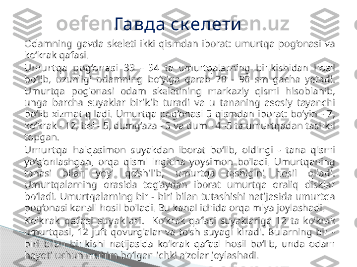 Odamning  gavda  skeleti  ikki  qismdan  iborat:  umurtqa  pog‘onasi  va 
ko‘krak qafasi.
Umurt qa  pog‘onasi   33  -  34  ta  umurtqalarning  birikishidan  hosil 
bo‘lib,  uzunligi  odamning  bo‘yiga  qarab  70  -  90  sm  gacha  yetadi. 
Umurtqa  pog‘onasi  odam  skeletining  markaziy  qismi  hisoblanib, 
unga  barcha  suyaklar  birikib  turadi  va  u  tananing  asosiy  tayanchi 
bo‘lib  xizmat  qiladi.  Umurtqa  pog‘onasi  5  qismdan  iborat:  bo‘yin  -  7, 
ko‘krak - 12, bel - 5, dumg‘aza - 5 va dum - 4 -5 ta umurtqadan tashkil 
topgan.
Umurt qa   halqasimon  suyakdan  iborat  bo‘lib,  oldingi  -  tana  qismi 
yo‘g‘onlashgan,  orqa  qismi  ingicha  yoysimon  bo‘ladi.  Umurtqaning 
tanasi  bilan  yoyi  qo‘shilib,  umurtqa  teshigini  hosil  qiladi. 
Umurtqalarning  orasida  tog‘aydan  iborat  umurtqa  oraliq  disklar 
bo‘ladi.  Umurtqalarning  bir  -  biri  bilan  tutashishi  natijasida  umurtqa 
pog‘onasi kanali hosil bo‘ladi. Bu kanal ichida orqa miya joylashadi.
Ko‘k rak   qafasi  suy ak lari.     Ko‘krak  qafasi  suyaklariga  12  ta  ko‘krak 
umurtqasi,  12  juft  qovurg‘alar  va  to‘sh  suyagi  kiradi.  Bularning  bir  - 
biri  bilan  birikishi  natijasida  ko‘krak  qafasi  hosil  bo‘lib,  unda  odam 
hayoti uchun muhim bo‘lgan ichki a’zolar joylashadi. Гавда ск елети     