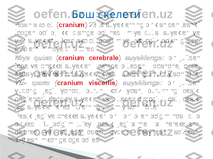 Bosh s keleti ( cranium )  23 ta suyaklarning birikishidan tashkil 
topgan  bo‘lib,  ikki  qismga  bo‘linadi:  miya  qutisi  suyaklari  va 
yuz  suyaklari.  Bosh  skeleti  bosh  miya    va  og‘iz  bo‘shlig‘idagi 
a’zolarni himoya qilib turadi. 
Miya  qutisi  ( cranium  cerebrale )   suyaklariga:   bir  juftdan 
tepa  va  chakka  suyaklari    hamda  bittadan  -  peshona,  ensa, 
asosiy, g‘alvirsimon suyaklar kiradi. Ularning umumiy soni 8 ta
Yuz  qismi  ( cranium  viscerlis )  suyaklariga:  bir  juftdan 
yuqorigi  jag‘,  yonoq,  burun,  ko‘z  yosh,  burunning  pastki 
chig‘anog‘i, tanglay suyaklari va bittadan dimog‘, til osti, pastki 
jag‘ suyaklari kiradi. Ularning umumiy soni 15 ta.
Pastki jag‘ va chakka suyaklari bir - biri bilan bo‘gim hosil qilib 
birikadi.  Bu  bo‘g‘im  tufayli  pastki  jag‘  xilma  -  xil  harakatlarni 
bajaradi  va  natijada  odam  ovqatni  chaynash,  so‘zlash, 
kuylash imkoniga ega bo‘ladi. Бош  ск елети     