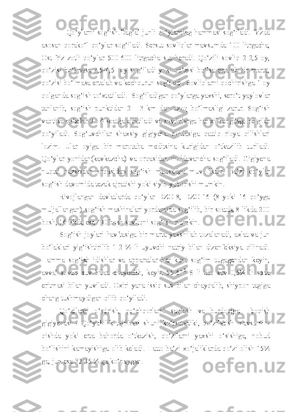                      Qo‘ylarni sog‘ish.Dag‘al junli qo‘ylarning hammasi sog‘iladi. Bizda
asosan   qorako‘l   qo‘ylar   sog‘iladi.   Sersut   sovliqlar   mavsumda   100   litrgacha,
Ost-friz   zotli   qo‘ylar   500-600   litrgacha   sut   beradi.   Qo‘zili   sovliq   2-2,5   oy,
qo‘zisi   bo‘lmasa   3,5-4,5     oy   sog‘iladi   yoki   qo‘zisi   bo‘lsa   ertalab   bir   marta,
qo‘zisi bo‘lmasa ertalab va kechqurun sog‘iladi. Sovliqlarni qochirishga 1 oy
qolganda sog‘ish to‘xtatiladi.  Sog‘iladigan qo‘ylarga yaxshi, sero‘t yaylovlar
tanlanib,   sog‘ish   punktidan   2   -   3   km   dan   uzoq   bo‘lmasligi   zarur.   Sog‘ish
vaqtida qo‘zilar 3 - 4 soatga ajratiladi va sovliqlarga har xil rangdagi belgilar
qo‘yiladi.   Sog‘uvchilar   shaxsiy   gigiyena   qoidasiga   qattiq   rioya   qilishlari
lozim.   Ular   oyiga   bir   marotaba   meditsina   kurigidan   o‘tkazilib   turiladi.
Qo‘ylar   yonidan(kavkazcha)   va   orqasidan   moldavancha   sog‘iladi.   Gigiyena
nuqtai   nazaridan   orqasidan   sog‘ish   maqsadga   muvofikdir.   Ba’zi   qo‘ylar
sog‘ish davomida tezak ajratishi yoki siyib yuborishi mumkin.
Rivojlangan   davlatlarda   qo‘ylar   DZO-8,   DZO-16   (8   yoki   16   qo‘yga
muljallangan) sog‘ish mashinalari yordamida sog‘ilib, bir soatda 8-likda 200
bosh, 16-likda esa 400 bosh sovliqni sog‘ish mumkin.
              Sog‘ish  joylari  havftasiga  bir  marta  yaxshilab  tozalanadi,  axlat  va  jun
bo‘laklari   yig‘ishtirilib   1-2   %   li   uyuvchi   natriy   bilan   dizenfeksiya   qilinadi.
Hamma   sog‘ish   idishlar   va   apparatlar   har   kuni   sog‘im   tugagandan   keyin,
avval   sovuq   suv   bilan   chayqalib,   keyin   55-60 0
  S   li   iliq   suv   0,5%   li   soda
eritmasi bilan yuviladi. Oxiri yana issiq suv bilan chayqalib, shiypon tagiga
chang tushmaydigan qilib qo‘yiladi.
Q o‘zilarni   o‘stirish,   qo‘chqorlarni   saqlash   va   burdoqiga     boqish
gigiyenasi   -   Qo‘ychilik   tajribasi   shuni   ko‘rsatadiki,   qo‘zilatish   mavsumini
qishda   yoki   erta   bahorda   o‘tkazish,   qo‘zilarni   yaxshi   o‘sishiga,   nobud
bo‘lishini kamayishiga olib keladi. Hatto ba’zi xo‘jaliklarda qo‘zi olish 15%
ga, jun esa 30-35 % ga ko‘paygan. 