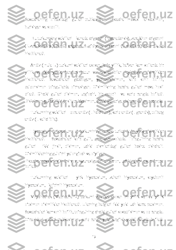 Savatchaning   o‘rtasidagi   gullar   trubkasimon.   Pistacha   mevasi   lansetsimon,
burishgan va soqolli.  
 Bu turkumning vakillari – kanada erigeroni (E.canadensis), zarafshon erigeroni
(E.zarafschanica), bandli erigeron. Sug’diyona erigeroni (E.sogdiana) endemik tur
hisoblanadi. 
Andiz (Inula L.) turkumi vakillari asosan,  ko‘p yillik, ba zan kam  xollarda bir‟
yillik   va   ikki   yillik,   barglari   butun   va   navbat   bilan   joylashgan   o‘simliklar
hisoblanadi.   Savatchalari   geterogam,   yarimsharsimon,   ko‘p   sonli   bo‘lib,
qalqonsimon   to‘pgullarda   o‘rnashgan.   O‘simlikning   barcha   gullari   meva   hosil
qiladi.   Chetki   gullari   tilsimon,   urg’ochi,   bir   qatorli     va   sariq   rangda   bo‘ladi.
Disksimon gullari ikki jinsli, trubkasimon, chetki gullariga nisbatan to‘qroq rangda.
Turkumning vakillari – qora andiz (I. helenium), sariq andiz (I. grandis), tolbarg
andiz (I. salicifolia).  
Hiyeratsium   (Hieracium   L.)   turkumining   barcha   turlari   ko‘p   yillk   o‘simliklar
hisoblanadi.       Savatchalari   ko‘p   gulli,   gomogam   xolatda.   To‘pgulining   barcha
gullari     ikki   jinsli,   tilsimon,   uchki   qismlaridagi   gullari   beshta   tishchali.
O‘simliklarning gulo‘rni yalong’och va o‘yilgan. 
Pistacha   mevalari   silindrsimon,   uzunasiga   to‘lqinsimon,   uchki   qismi   esa   to‘mtoq
bo‘ladi. 
Turkumning   vakillari   –   yirk   hiyeratsium,   zaharli   hiyeratsium,   soyabonli
hiyeratsium,   ko‘rimli hiyeratsium. 
Moychechak   (Matricaria   L.)   turkumi   vakillari   asosan   bir   yillik   va   ikki   yillik
o‘tsimon   o‘simliklar   hisoblanadi.   Ularning   barglari   ikki   yoki   uch   karra   patsimon.
Savatchalari kamsonli bo‘lib, to‘pgulning chetki gullari soxtatilsimon va oq rangda.
O‘rtasidagi   gullari   trubkasimon,   sariq   rangli   yoki   sarg’ish-yashil   rangda   bo‘ladi.
  19   