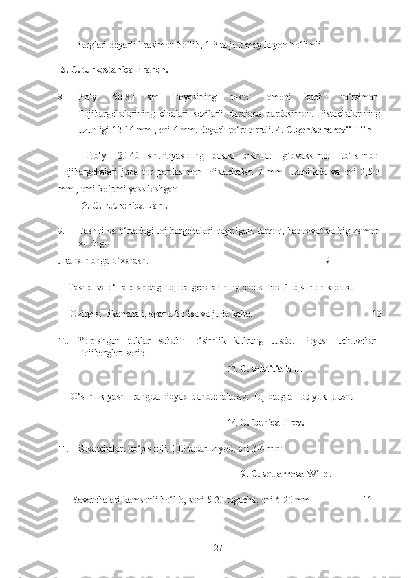   +   Barglari deyarli lirasimon bo‘lib, 1-3 ta juft mayda yon bo‘limli 
  5. C. turkestanica Franch. 
8. Bo‘yi   50-80   sm.   Poyasining   pastki   tomoni   kuchli   to‘rsimon.
Tojibargchalarining   chetlari   sezilarli   darajada   pardasimon.   Pistachalarining
uzunligi 12-14 mm., eni 4 mm. deyarli to‘rt qirrali.  4. C.gontscharovii Iljin  
  +     Bo‘yi   20-40   sm.Poyasining   pastki   qismlari   g’ovaksimon   to‘rsimon.
Tojibargchalari   juda   tor   pardasimon.   Pistachalari   7   mm.   uzunlikda   va   eni   2,5-3
mm., omi-ko‘pmi yassilashgan.   
  2. C. ruthenica Lam.    
9. Tashqi va o‘rtadagi tojibargchalari qayrilgan, tarqoq, baquvvat va bigizsimon
xoldagi 
tikansimonga o‘xshash.                 9 
+  Tashqi va o‘rta qismdagi tojibargchalarining chetki tarafi tojsimon kiprikli. 
     Oxirgisi  tikanchali, agar u bo‘lsa va juda kalta.                          10
10. Yopishgan   tuklar   sababli   o‘simlik   kulrang   tusda.   Poyasi   uchuvchan.
Tojibarglari sariq. 
13. C. solstitialis L. 
+   O‘simlik yashil rangda. Poyasi qanotchalarsiz.  Tojibarglari oq yoki pushti  
14. C. iberica Trev.  
11. Savatchalari ko‘p sonli. 100 tadan ziyod, eni 3-4 mm.  
                9. C. squarrosa Willd.    
 +   Savatchalari kamsonli bo‘lib, soni 5-20 tagacha, eni 6-20 mm.               11 
  27   