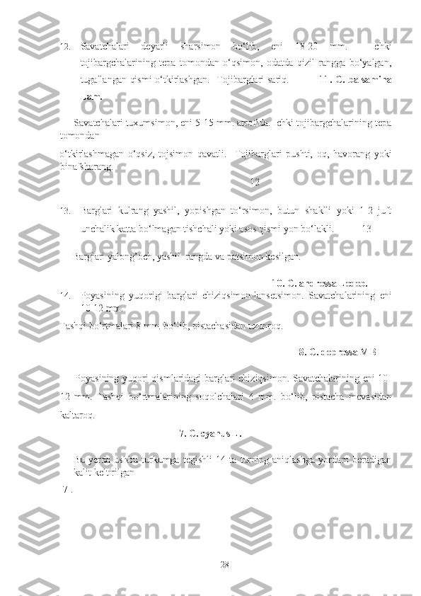 12. Savatchalari   deyarli   sharsimon   bo‘lib,   eni   18-20   mm.     Ichki
tojibargchalarining   tepa   tomondan   o‘qsimon,   odatda   qizil   rangga   bo‘yalgan,
tugallangan qismi  o‘tkirlashgan.    Tojibarglari sariq.                  11. C. balsamina
Lam.  
 +  Savatchalari tuxumsimon, eni 5-15 mm. atrofida. Ichki tojibargchalarining tepa
tomondan 
o‘tkirlashmagan   o‘qsiz,   tojsimon   qavatli.     Tojibarglari   pushti,   oq,   havorang   yoki
binafsharang.  
                      12 
13. Barglari   kulrang   yashil,   yopishgan   to‘rsimon,   butun   shaklli   yoki   1-2   juft
unchalik katta bo‘lmagan tishchali yoki asos qismi yon bo‘lakli.           13 
 +  Barglari yalong’och, yashil  rangda va patsimon kesilgan.  
             10. C. andressa Ledeb. 
14. Poyasining   yuqorigi   barglari   chiziqsimon-lansetsimon.   Savatchalarining   eni
10-12 mm. 
Tashqi bo‘rtmalari 8 mm. bo‘lib, pistachasidan uzunroq. 
                            8. C. depressa MB   
  +   Poyasining yuqori qismlaridagi barglari chiziqsimon. Savatchalarining eni 10-
12   mm.   Tashqi   bo‘rtmalarining   soqolchalari   4   mm.   bo‘lib,   pistacha   mevasidan
kaltaroq.    
                    7. C. cyanus L.   
Bu   yerda   ushbu   turkumga   tegishli   14   ta   turning   aniqlashga   yordam   beradigan
kalit keltirilgan 
[7]. 
  28   