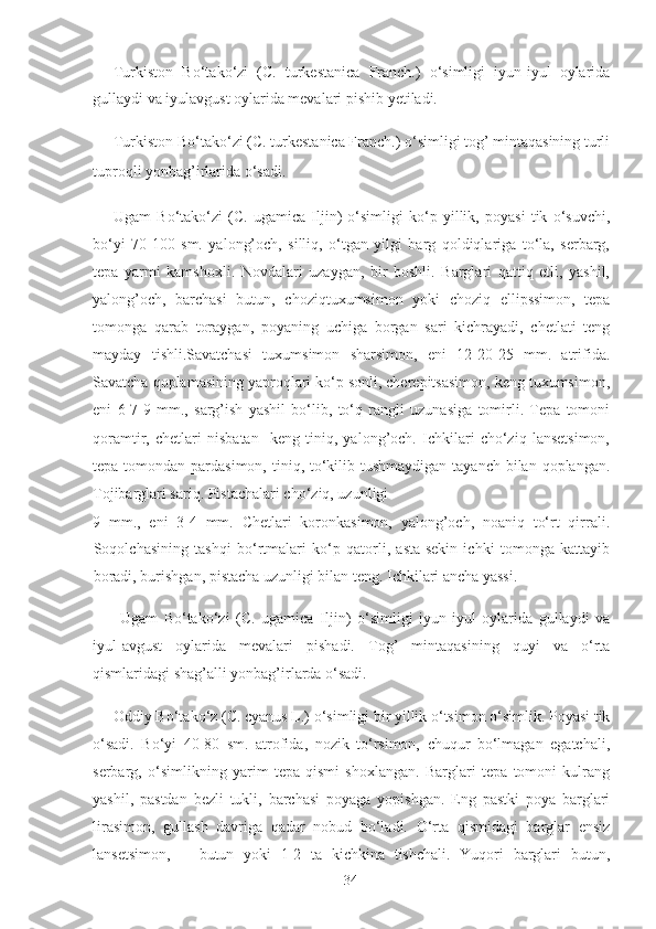 Turkiston   Bo‘tako‘zi   (C.   turkestanica   Franch.)   o‘simligi   iyun-iyul   oylarida
gullaydi va iyulavgust oylarida mevalari pishib yetiladi.   
Turkiston Bo‘tako‘zi (C. turkestanica Franch.) o‘simligi tog’ mintaqasining turli
tuproqli yonbag’irlarida o‘sadi.  
Ugam   Bo‘tako‘zi   (C.   ugamica   Iljin)   o‘simligi   ko‘p   yillik,   poyasi   tik   o‘suvchi,
bo‘yi   70-100   sm.   yalong’och,   silliq,   o‘tgan   yilgi   barg   qoldiqlariga   to‘la,   serbarg,
tepa   yarmi   kamshoxli.   Novdalari   uzaygan,   bir   boshli.   Barglari   qattiq   etli,   yashil,
yalong’och,   barchasi   butun,   choziqtuxumsimon   yoki   choziq   ellipssimon,   tepa
tomonga   qarab   toraygan,   poyaning   uchiga   borgan   sari   kichrayadi,   chetlati   teng
mayday   tishli.Savatchasi   tuxumsimon   sharsimon,   eni   12-20-25   mm.   atrifida.
Savatcha qoplamasining yaproqlari ko‘p sonli, cherepitsasimon, keng tuxumsimon,
eni   6-7-9   mm.,   sarg’ish   yashil   bo‘lib,   to‘q   rangli   uzunasiga   tomirli.   Tepa   tomoni
qoramtir,   chetlari   nisbatan     keng   tiniq,   yalong’och.   Ichkilari   cho‘ziq   lansetsimon,
tepa tomondan pardasimon, tiniq, to‘kilib tushmaydigan  tayanch bilan qoplangan.
Tojibarglari sariq. Pistachalari cho‘ziq, uzunligi 
9   mm.,   eni   3-4   mm.   Chetlari   koronkasimon,   yalong’och,   noaniq   to‘rt   qirrali.
Soqolchasining   tashqi   bo‘rtmalari   ko‘p   qatorli,   asta-sekin   ichki   tomonga   kattayib
boradi, burishgan, pistacha uzunligi bilan teng. Ichkilari ancha yassi.   
  Ugam   Bo‘tako‘zi   (C.   ugamica   Iljin)   o‘simligi   iyun-iyul   oylarida   gullaydi   va
iyul-avgust   oylarida   mevalari   pishadi.   Tog’   mintaqasining   quyi   va   o‘rta
qismlaridagi shag’alli yonbag’irlarda o‘sadi.  
Oddiy Bo‘tako‘z (C. cyanus L.) o‘simligi bir yillik o‘tsimon o‘simlik. Poyasi tik
o‘sadi.   Bo‘yi   40-80   sm.   atrofida,   nozik   to‘rsimon,   chuqur   bo‘lmagan   egatchali,
serbarg,   o‘simlikning   yarim   tepa   qismi   shoxlangan.   Barglari   tepa   tomoni   kulrang
yashil,   pastdan   bezli   tukli,   barchasi   poyaga   yopishgan.   Eng   pastki   poya   barglari
lirasimon,   gullash   davriga   qadar   nobud   bo‘ladi.   O‘rta   qismidagi   barglar   ensiz
lansetsimon,       butun   yoki   1-2   ta   kichkina   tishchali.   Yuqori   barglari   butun,
  34   