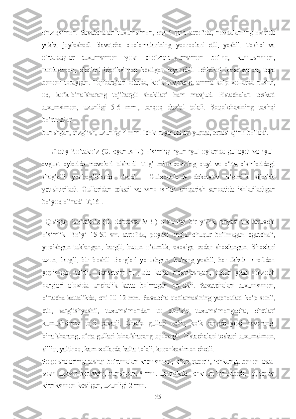 chiziqsimon.   Savatchalari   tuxumsimon,   eni   6   mm.   atrofida,   novdalarning   oxirida
yakka   joylashadi.   Savatcha   qoplamalarining   yaproqlari   etli,   yashil.   Tashqi   va
o‘rtadagilar   tuxumsimon   yoki   cho‘ziq-tuxumsimon   bo‘lib,   kumushimon,
pardasimon,   chetlari   kipriksimon   kesilgan   tayanchli.   Ichkilari   lansetsimon,   tepa
tomoni   toraygan.  Tojibarglari   odatda,  ko‘k-havorang,   amma   ko‘p   xollarda   pushti,
oq,   ko‘k-binafsharang   tojibargli   shakllari   ham   mavjud.   Pistachalari   teskari
tuxumsimon,   uzunligi   5-6   mm.,   tarqoq   dag’al   tolali.   Soqolchasining   tashqi
bo‘rtmalari 
burishgan, qizg’ish, uzunligi 4 mm. Ichki plyonkalari yupqa, tepasi ajinli bo‘ladi.  
Oddiy   Bo‘tako‘z   (C.   cyanus   L.)   o‘simligi   iyun-iyul   oylarida   gullaydi   va   iyul-
avgust   oylarida   mevalari   pishadi.   Tog’   mintaqasining   quyi   va   o‘rta   qismlaridagi
shag’alli   yonbag’irlarda   o‘sadi.     Gulxonalarda   dekorativ   o‘simlik   sifatida
yetishtiriladi.   Gullaridan   tekstil   va   vino   ishlab   chiqarish   sanoatida   ishlatiladigan
bo‘yoq olinadi [7;16].  
  Qisilgan   Bo‘tako‘z   (C.   depressa   MB.)   o‘simligi   bir   yillik,   poyasi   tik   turuvchi
o‘simlik.   Bo‘yi   15-50   sm.   atrofida,   poyasi   uncha   chuqur   bo‘lmagan   egatchali,
yopishgan   tuklangan,   bargli,   butun   o‘simlik,   asosiga   qadar   shoxlangan.   Shoxlari
uzun,   bargli,   bir   boshli.   Barglari   yopishgan,   kulrang-yashil,   har   ikkala   tarafidan
yopishgan   to‘rli,     lansetsimon,   juda   kalta   o‘tkirlashgan,   butun   yoki   ildizoldi
barglari   aloxida   unchalik   katta   bolmagan   bo‘lakli.   Savatchalari   tuxumsimon,
o‘rtacha kattalikda, eni 10-12 mm. Savatcha qoplamasining yaproqlari ko‘p sonli,
etli,   sarg’ishyashil,   tuxumsimondan   to   cho‘ziq   tuxumsimongacha,   chetlari
kumushsimon   tojli   qavatli.   Chetki   gullari   ochiq   ko‘k   rangda   yoki   havorang-
binafsharang, o‘rta gullari binafsharang tojibargli. Pistachalari teskari tuxumsimon,
silliq, yaltiroq, kam xollarda kalta tolali, koronkasimon chetli. 
Soqolshalarinig tashqi bo‘rtmalari kremsimon, k op qatorli, ichkariga tomon asta-‟
sekin uzayib boruvchi, burishgan, 8 mm. uzunlikda. Ichkilari bir qatorli, oq, tepasi
kipriksimon kesilgan, uzunligi 2 mm.  
  35   