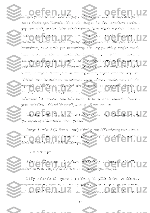 bo‘lgan,  yopishgan  bezli   tukchali, yoyiq  ko‘p  xujayrali   tolali, serbarg,  tepa  yarmi
tarqoq   shoxlangan.   Novdalari   bir   boshli.   Barglari   har   ikki   tomonlama   bezchali,
yoyilgan   tolali,   chetlari   kalta   so‘rg’ichsimon,   kalta   tikanli   tishchali.   Ildizoldi
barglari   bandli,   patsimon   kesilgan,   yon   segmentlari   lansetsimon,   yana   o‘z
navbatida   patsimon   bo‘lakli.   Poyadagi   barglari   patsimon   kesilgan,   chiziqli-
lansetsimon,   butun   qirrali   yon   segmentlarga   ega.   Eng   yuqoridagi   barglari   odatda
butun,   chiziqli-lansetsimon.   Savatchalari   tuxumsimon,   eni   9-11   mm.   Savatcha
qoplamasining yaproqlari etli, yashil. Tashqilari deyarli  yumaloq, tor pardasimon,
ustki   tomonida   3-5   ta   sarg’ish   tikanchali,   ular   orasidan   eng   markazdagisi   odatda
kuchli,   uzunligi   5-12   mm.,   tarnovsimon   bigizsimon,   deyarli   gorizontal   yoyilgan.
Ichkilari   keng   lansetsimon,   pardasimon,   ustida   to‘mtoq,   pardasimon,   qo‘ng’ir
tayanchli.   O‘simlikning   tojibarglari   xira   pushtidan   oq   ranggacha.   Pistachalari
cho‘ziq, 4-5 mm. uzunlikda, yalong’och, silliq, ochiq rangli. Soqolchasining tashqi
bo‘rtmalari   1,5   mm,uzunlikda,   ko‘p   qatorli,   ichkariga   tomon   astasekin   o‘suvchi,
yassi, oq bo‘ladi. Ichkilari bir qatorli, uzunligi 0,5 mm. atrofida.      
Iberiya   Bo‘tako‘zi   (C.   iberica   Trev.)   o‘simligi   iyun-iyul   oylarida   gullaydi   va
iyul-avgust oylarida mevalari pishib yetiladi.  
Iberiya Bo‘tako‘zi  (C. iberica Trev.) o‘simligi respublikamizning adirlikdan to
tog’ning   o‘rta   qismlaridagi   toshli   va   shag’alli   yonbag’irlarda   o‘sadi.Voxalardagi
dalalarda ham begona o‘t sifatida uchraydi [2;7]. 
4.2. Ahamiyati 
Bo‘tako‘z   (Centaurea   L.)   turkumi   vakillarining   O‘zbekiston   o‘simliklari
qoplamida va xalq xojaligida o‘ziga xos o‘rni va ahamiyati mavjud.   
Oddiy   Bo‘tako‘z   (C.   cyanus   L.)   o‘simligi   bir   yillik   dorivor   va   dekorativ
o‘tsimon   o‘simlik   hisoblanadi.   Uning   poyasi   tik   o‘sadi.   Bo‘yi   40-80   sm.   atrofida
bo‘lib, nozik to‘rsimon, chuqur bo‘lmagan egatchalarga ega. Serbarg, o‘simlikning
  37   