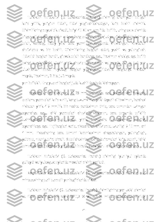 Turkiston   Bo‘tako‘zi   (C.   turkestanica   Franch.)   o‘simligi   ahamiyatli   bo‘lgan
ko‘p   yillik,   yo‘g’on   ildizli,   ildizi   yog’ochlashadigan,   ko‘p   boshli   o‘simlik.
O‘simlikning poyasi tik o‘sadi, bo‘yi 40-80 sm. atrofida  bo‘lib, uning asos qismida
o‘tgan yilgi taraqqiyotidan qolgan barg qoldiqlari mavjud va o‘sha yeri ipaksimon
tolali,   serbarg,   oddiy   yoki   tepa   yarmi   oz   miqdorda   shoxlangan.   Novdalari
cho‘ziqroq   va   bir   boshli.   O‘simlikning   barglari   etdor,   yashil   va   yalong’och.
Ildizoldi barglari bandli, g’ovak tolali bandlarga ega, lirasimon shaklga ega bo‘lib
oxirgi   tugalanuvchi   ulushi   yirik   choziq-tuxumsimon   va   mayda   1-3   ta   juft   yon
ulushlardan   iborat.   Poyadagi   barglari   yopishgan,   ildizoldi   barglariga   nisbatan
mayda, lirasimon, 2-3 ta juft mayda 
yon bo‘lakli. Eng yuqori barglari juda kuchli darajada kichraygan. 
  Savatchalari   silindrsimon,   20-25   mm   diametrga   ega,   yalong’och.   Savatcha
qoplama yaproqlari ko‘p sonli, keng tuxumsimon yoki deyarli ellipssimon, barchasi
nisbatan   yirik   4-9   mm.lik   bir   nechta   pardasimon   tiniq,   tepa   tomondan   uzimgan
tayanchga   ega.   Ichki   yaproqlari   choziq-lansetsimon,   tepa   tomonda   to‘kilib
tushmaydigan   pardasimon,   ancha   yirik,   birmuncha   lopatkasimon,   sarg’ish
tayanchlarga ega. Tojibarglari sariq, pistachalari choziqroq, uzunligi 9-10 mm. eni
4   mm.   Pistachaning   tepa   tomoni   koronkasimon   chegaralangan,   yalong’ogh,
yaltiroq,   noaniq   to‘rt   qirrali.   Soqolchasining   tashqi   bo‘rtmalari   ko‘p   qatorli,   ichki
tomoniga qarab astasekin yiriklashib boradi, burishgan. Ichkilari yupqalashgan.    
Turkiston   Bo‘tako‘zi   (C.   turkestanica   Franch.)   o‘simligi   iyun-iyul   oylarida
gullaydi va iyulavgust oylarida mevalari pishib yetiladi.   
Respublikamizda   turkiston   Bo‘tako‘zi   (C.   turkestanica   Franch.)   o‘simligi   tog’
mintaqasining turli tuproqli yonbag’irlarida o‘sadi. 
Turkiston Bo‘tako‘zi (C. turkestanica Franch.) o‘simligining yer ustki qismlari
va   ildizi   tarkibida   mos   ravishda   0,7   %   va   0,2   %   miqdorda   kauchuk   borlogi
  41   