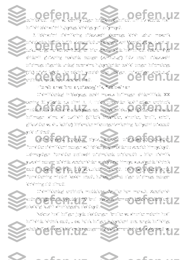 qalinlashadi.   Lignin   va   kremniy   tutgan   bo‘rtik   hosil   bo‘ladi.   Uni   o‘z   vaqtida   hosil
bo‘lishi  tekinxo‘rni hujayraga kirishiga yo‘l qo‘ymaydi.
3. Tekinxo‘rni   o‘simlikning   o‘tkazuvchi   sistemaga   kirish   uchun   mexanik
to‘siqlardan biri tila bo‘lib xizmatqiladiumasalang‘o‘zani Verticillum va Fusarium
turkumlariga mansub zamburug‘lari  bilan zararlanishida hosil bo‘ladi. Kasallanishga
chidamli   g‘o‘zaning   navlarida   patogen   (zamburug‘)   ildiz   orqali   o‘tkazuvchi
to‘qimaga o‘tganida undagi  parenxima hujayralaridan tashkil  topgan   bo‘rtmalarga
(tila)   to‘g‘ri   keladi,   ular   pektinli   yopqich   bilan   o‘ralgan.   To‘xtatilgan   zamburug‘
antibiotik   modda   bilan   zararlantiriladi.
Fitonsidlar va fenollar, o‘tasezgirlik, fitoaleksinlar
O‘simliklardagi   infeksiyaga   qarshi   maxsus   bo‘lmagan   chidamlilikda   XX
asrning   20-yillarida   rus   olimi   B.   P.   Tokin   tomonidan   kashf   etilgan   antibiotik
modda fitonsidlar muhim ahamiyatga ega. Ularga molekulyar og‘irligi uncha katta
bo‘lmagan   xilma   xil   tuzilishli   (alifatik   birikmalar,   xinonlar,   fenolli,   spirtli,
glikozidlar   va   shu   kabilar)   birikmalar   mikroorganizmlarning  faoliyatini   to‘xtatadi
yoki o‘ldiradi.
Jarohatlanganda   (masalan,   piyoz,   sarimsoq   to‘g‘ralganda)   uchuvchan
fitonsidlar o‘simliklarni patogan xali ichkariga kirmasidanoq zararlab himoyalaydi.
Uchmaydigan   fitonsidlar   qoplovchi   to‘qimalarda   to‘planadib   u   bilan   o‘simlik
yuzasini patogen ta’sirida zararlanishdan saqlaydigan himoya xususiyatida ishtirok
etadi.   Hujayraning   ichida   ular   vakuolada   to‘planadi.   O‘simlik   jarohatlanganda
fitonsidlarning   miqdori   keskin   ortadi,   bu   esa   jarohat   olgan   to‘qimaga   patogen
kirishning oldi olinadi.
O‘simliklardagi   antibiotik   moddalarga   fenollar   ham   mansub.   Zararlanish
sodir   bo‘lganida   hujayradagi   polifenol   oksidaza   fermenti   faollashib   fenollarni
toksikligi kuchli xinonlargacha oksidlaydi.
Nekroz   hosil   bo‘lgan   joyda   oksidlangan   fenollar   va   xinonlar   melanin   hosil
bo‘lishida   ishtirok   etadi,   u   esa   halok   bo‘lgan   hujayralarni   qora   rangda   bo‘lishiga
sabab bo‘ladi. Fenolli birikmalar patogenning ekzofermentlarini faolsizlantiradi va 