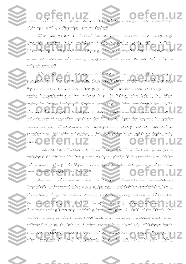 lignin   hosil   qilinishi   uchun   zarur.   Tekinxo‘rlik   qiladigan   mikroorganizmlar
o‘zining o‘simlik-xo‘jayiniga oson moslashadi.
O‘ta   sezuvchanlik .   Biotrof   tekinxo‘rlarni   chidamli   nav   hujayrasiga
kirganida   patogen   bilan   tegishgan   joyda   hujayralar   tezda   nobud   bo‘ladi .
O ‘ simlikning   bunday   javob   reaksiyasiga   o ‘ ta   sezuvchanlik   deyiladi .   Kasallikka
chidamsiz   navlarda   to ‘ qimaning   hujayralari   tirik   qoladi   va   tekinxo ‘ r   to ‘ qima
bo ‘ ylab   tarqaladi .
O ‘ simliklarda   o ‘ ta   sezuvchanlik   tekinxo ‘ r   bilan   o ‘ zaro   tegishgandayoq
yuzaga   keladi .   Bunday   reaksiyaga   ( xususiyat )   aynan   chidamli   o ‘ simliklar   ega .
Aynan   manashu   chidamlilik   infeksiyaga   ortiqcha   chidamlilikka   asoslangan .   Bir
necha   hujayralarning   o‘limi   nekroz   hosil   bo‘lishiga   olib   keladi,   bu   bilan
tekinxo‘rni harakati to‘xtaydi. Keyin nekrotlashgan to‘qima peridema bilan to‘silib
o‘raladi.   Bunday   javob   reaksiyaning   tezligi   juda   katta:   kartoshkada   fitoftoroz
qo‘zg‘atuvchini barg bilan tegishganidan 30 daqiqa o‘tganidan keyinoq hujayralar
nobud   bo‘ladi.   O‘tasezuvchanlik   reaksiyasining   asosiy   vazifasi   tekinxo‘rda
sporalar   hosil   bo‘lishini   to‘xtatish,   u   tirik   hujayralar   bilan   tegishganidagina   ro‘y
beradi.
Fitoaleksinlar.   Yuksak   o‘simliklar   fitopatogen   bilan   ta’sirlanganda   javob
reaksiyasi sifatida hosil bo‘ladigan molekulyar og‘irligi kichik antibiotik moddalar
bo‘lib ularni  1940 yili  K. Myuller  va G. Byorger kashf  etishgan. Ular o‘simlikda
immunitetni himoyalanishni bajaradi.
Sog‘lom   to‘qimalarda   ular   bo‘lmaydi.   Fitoaleksinlar   antibakterial,
fungitoksik, antinematod ta’sir xususiyatiga ega. Fitoaleksinlar zararlanish ta’sirida
o‘simlikdagi   o‘zgargan   metabolizmning   provard   natijadagi   mahsuloti.   O‘simliklar
va   patogenlarning   xilma-xilligi   tufayli   ularning   o‘zaro   ta’sirlari   ham,
fitoaleksinlarning kimyoviy turlichaligi ham anchagina. Dukkakli o‘simliklarda ular
izoflavonoidlar,   tamatdoshlarda-seskviterpenoid   moddalar,   murakkabguldoshlarda-
poliatsetilenlar   va   shu   kabilar.   Bundan   tashqari   bitta   o‘simlikda   infeksiyaga   javob
sifatida   bir   necha   fitoaleksinlar   hosil   bo‘ladi.   Fitoaleksinlar   nobud   bo‘layotganlar
bilan   chegaradosh   tirik   hujayralarda   hosil   bo‘ladi,   shu   boisdan   ularda 