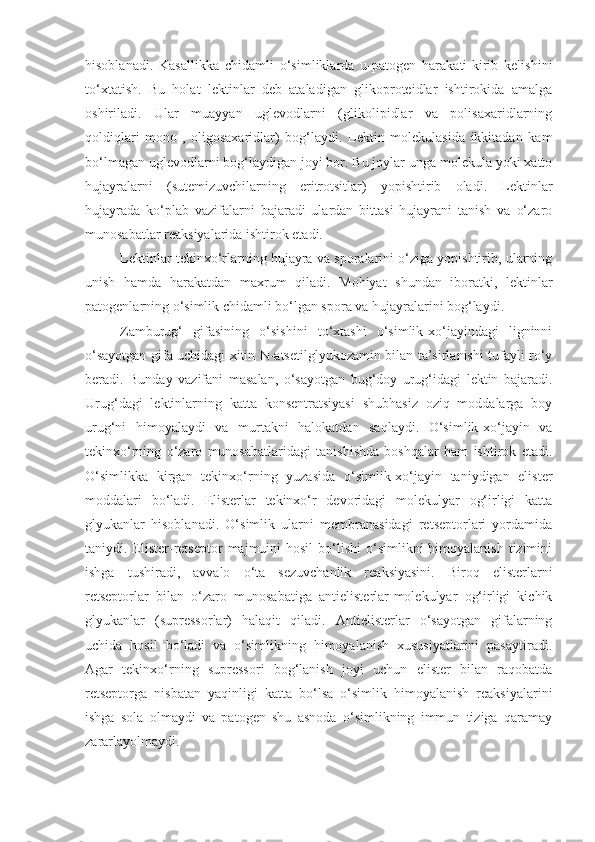 hisoblanadi .   Kasallikka   chidamli   o‘simliklarda   u-patogen   harakati-kirib   kelishini
to‘xtatish.   Bu   holat   lektinlar   deb   ataladigan   glikoproteidlar   ishtirokida   amalga
oshiriladi.   Ular   muayyan   uglevodlarni   (glikolipidlar   va   polisaxaridlarning
qoldiqlari   mono-,   oligosaxaridlar)   bog‘laydi.   Lektin   molekulasida   ikkitadan   kam
bo‘lmagan uglevodlarni bog‘laydigan joyi bor. Bu joylar unga molekula yoki xatto
hujayralarni   (sutemizuvchilarning   eritrotsitlar)   yopishtirib   oladi.   Lektinlar
hujayrada   ko‘plab   vazifalarni   bajaradi   ulardan   bittasi   hujayrani   tanish   va   o‘zaro
munosabatlar reaksiyalarida ishtirok etadi.
Lektinlar tekinxo‘rlarning hujayra va sporalarini o‘ziga yopishtirib, ularning
unish   hamda   harakatdan   maxrum   qiladi.   Mohiyat   shundan   iboratki,   lektinlar
patogenlarning o‘simlik chidamli bo‘lgan spora va hujayralarini bog‘laydi.
Zamburug‘   gifasining   o‘sishini   to‘xtashi   o‘simlik-xo‘jayindagi   ligninni
o‘sayotgan gifa uchidagi xitin N-atsetilglyukozamin bilan ta’sirlanishi tufayli ro‘y
beradi.   Bunday   vazifani   masalan,   o‘sayotgan   bug‘doy   urug‘idagi   lektin   bajaradi.
Urug‘dagi   lektinlarning   katta   konsentratsiyasi   shubhasiz   oziq   moddalarga   boy
urug‘ni   himoyalaydi   va   murtakni   halokatdan   saqlaydi.   O‘simlik-xo‘jayin   va
tekinxo‘rning   o‘zaro   munosabatlaridagi   tanishishda   boshqalar   ham   ishtirok   etadi.
O‘simlikka   kirgan   tekinxo‘rning   yuzasida   o‘simlik-xo‘jayin   taniydigan   elister
moddalari   bo‘ladi.   Elisterlar   tekinxo‘r   devoridagi   molekulyar   og‘irligi   katta
glyukanlar   hisoblanadi.   O‘simlik   ularni   membranasidagi   retseptorlari   yordamida
taniydi. Elister-retseptor   majmuini   hosil   bo‘lishi  o‘simlikni  himoyalanish  tizimini
ishga   tushiradi,   avvalo   o‘ta   sezuvchanlik   reaksiyasini.   Biroq   elisterlarni
retseptorlar   bilan   o‘zaro   munosabatiga   antielisterlar-molekulyar   og‘irligi   kichik
glyukanlar   (supressorlar)   halaqit   qiladi.   Antielisterlar   o‘sayotgan   gifalarning
uchida   hosil   bo‘ladi   va   o‘simlikning   himoyalanish   xususiyatlarini   pasaytiradi.
Agar   tekinxo‘rning   supressori   bog‘lanish   joyi   uchun   elister   bilan   raqobatda
retseptorga   nisbatan   yaqinligi   katta   bo‘lsa   o‘simlik   himoyalanish   reaksiyalarini
ishga   sola   olmaydi   va   patogen   shu   asnoda   o‘simlikning   immun   tiziga   qaramay
zararlayolmaydi. 