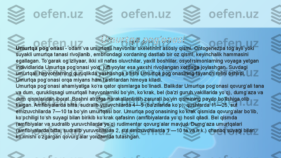                        
                                    Umurt qa pogʻonasi
Umurtqa pog onasiʻ  -	 odam	 va	 umurtqali	 hayvonlar	 skeletinint	 asosiy	 qismi.	 Ontogenezpa	 tog ayli	 yoki	 	ʻ
suyakli	
 umurtqa	 tanasi	 rivojlanib,	 embriondagi	 xordaning	 dastlab	 bir	 oz	 qismi,	 keyinchalik	 hammasini	 
egallagan.	
 To garak	 og izliyaar,	 ikki	 xil	 nafas	 oluvchilar,	 yaxlit	 boshlilar,	 osyotrsimonlarning	 voyaga	 yetgan	 	ʻ ʻ
individlarida	
 Umurtqa	 pog onasi	 yo q,	 juft	 yoylar	 esa	 yaxshi	 rivojlangan	 xordaga	 joylashgan.	 Suvdagi	 	ʻ ʻ
umurtqali	
 hayvonlarning	 quruqlikda	 yashashga	 o tishi	 Umurtqa	 pog onasining	 tayanch	 rolini	 oshirdi.	 	ʻ ʻ
Umurtqa	
 pog onasi	 orqa	 miyans	 ham	 ta sirlardan	 himoya	 kiladi.	ʻ ʼ
Umurtqa	
 pog onasi	 ahamiyatiga	 ko ra	 qator	 qismlarga	 bo linadi.	 Balikdar	 Umurtqa	 pog onasi	 qovurg ali	 tana	 	ʻ ʻ ʻ ʻ ʻ
va	
 dum,	 qurukliqsagi	 umurtqali	 hayvonlarniki	 bo yin,	 ko krak,	 bel	 (ba zi	 guruh	 vakillarida	 yo q),	 dumg aza	 va	 	ʻ ʻ ʼ ʻ ʻ
dum	
 qismlaridan	 iborat.	 Boshni	 atrofga	 harakatlantirish	 zarurati	 bo yin	 qismining	 paydo	 bo lishiga	 olib	 	ʻ ʻ
kelgan.	
 Amfibiyalarda	 bitta,	 sudralib	 yuruvchilarda	 4—9	 (ba zilarida	 ko p),	 qushlarda	 11—25,	 sut	 	ʼ ʻ
emizuvchilarda	
 7—10	 ta	 bo yin	 umurtqasi	 bor.	 Umurtqa	 pog onasining	 ko krak	 qismida	 qovurg alar	 bo lib,	 	ʻ ʻ ʻ ʻ ʻ
ko pchiligi	
 to sh	 suyagi	 bilan	 birikib	 ko krak	 qafasinn	 (amfibiyalarda	 yo q)	 hosil	 qiladi.	 Bel	 qismda	 	ʻ ʻ ʻ ʻ
(amfibiyalar	
 va	 sudralib	 yuruvchilarda	 yo q)	 rudimentar	 qovurg alar	 mavjud.	 Dumg aza	 umurtqalari	 	ʻ ʻ ʻ
(amfibiyalarda	
 bitta,	 sudralib	 yuruvchilarda	 2,	 sut	 emizuvchilarda	 1 —10	 ta	 va	 h.k.)	 chanoq	 suyagi	 bilan	 
ko rinishi	
 o zgargan	 qovurg alar	 yordamida	 tutashgan.	 	ʻ ʻ ʻ 