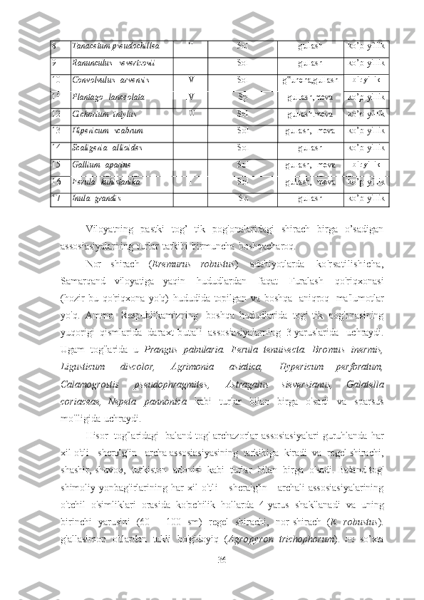 8 Tanacetum pseudochillea II Sol gullash ko’p   yillik
9 Ranunculus   severtzovii III Sol gullash ko’p   yillik
10 Convolvulus   arvensis IV Sol g uncha,gullash‟ bir   yillik
11 Plantago   lanceolata IV Sp gullash,meva ko’p   yillik
12 Cichorium   intylus III Sol gullash.meva ko’p   yillik
13 Hipericum   scabrum III Sol gullash,   meva ko’p   yillik
14 Scaligeria   allioides III Sol gullash ko’p   yillik
15 Gallium   aparine III Sol gullash,   meva bir   yillik
1 6   Ferula   kuhistanika	
I Sol gullash,   meva ko’p   yillik
17 Inula   grandis
I Sp gullash ko’p   yillik
Viloyatning   pastki   tog’   tik   pog'onalaridagi   shirach   birga   о’sadigan
assosiasiyalarning   turlar   tarkibi   birmuncha   boshqacharoq.
Nor   shirach   ( Eremurus   robustus )   adabiyotlarda   ko'rsatilishicha,
Samarqand   viloyatiga   yaqin   hududlardan   faqat   Furalash   qo'riqxonasi
(hozir   bu   qo'riqxona   yo'q)   hududida   topilgan   va   boshqa   aniqroq   ma'lumotlar
yo'q.   Ammo   Respublikamizning   boshqa   hududlarida   tog'   tik   pog'onasining
yuqorigi   qismlarida   daraxt-butali   assosiasiyalarning   3-yaruslarida   uchraydi.
Ugam   tog'larida   u   Prangus   pabularia.   Ferula   tenuisecta.   Bromus   inermis,
Ligusticum   discolor,   Agrimonia   asiatica,   Hypericum   perforatum,
Calamogrostis   pseudophragmites,   Astragalus   sieversianus,   Galatella
coriaceae,   Nepeta   pannonica   kabi   turlar   bilan   birga   o'sadi   va   sparsus
mo'lligida   uchraydi.
Hisor   tog'laridagi   baland tog' archazorlar  assosiasiyalari  guruhlanda   har
xil   o'tli   -   sherolg'in   -   archa   assosiasiyasining   tarkibiga   kiradi   va   regel   shirachi,
shashir,   shuvoq,   turkiston   adonisi   kabi   turlar   bilan   birga   o'sadi.   Baland   tog'
shimoliy   yonbag'irlarining   har   xil   o'tli   -   sheralg'in   -   archali   assosiasiyalarining
o'tchil   o'simliklari   orasida   kо'pchilik   hollarda   4-yarus   shakllanadi   va   uning
birinchi   yarusini   (60   -   100   sm)   regel   shirachi,   nor   shirach   ( E.   robustus ).
g'allasimon   o'tlardan   tukli   bo'g'doyiq   ( Agropyron   trichophorum ).   oq   so’xta
36 