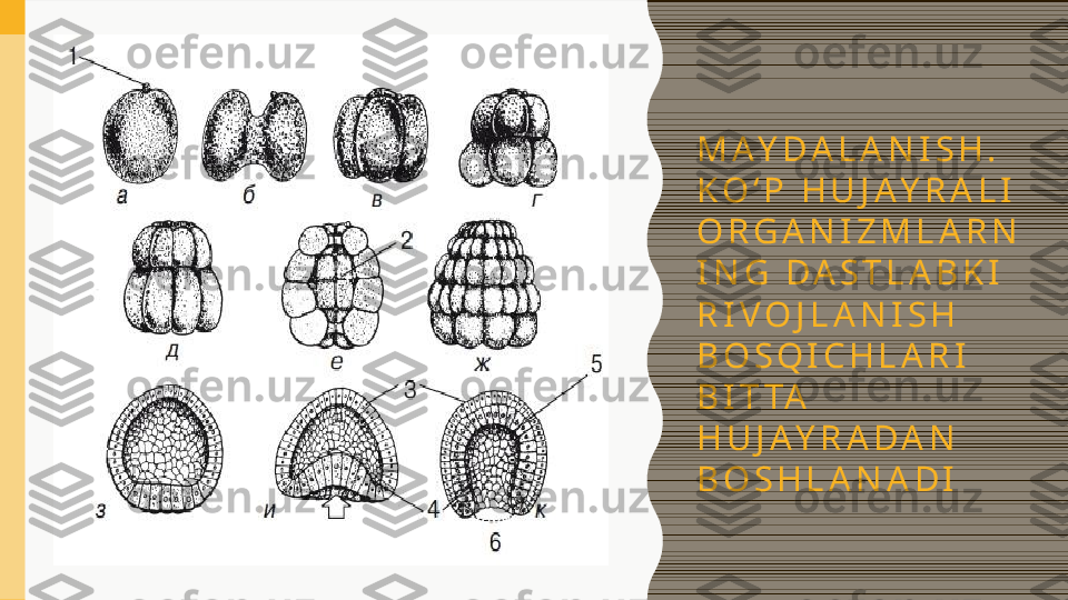 M A Y D A L A N I S H .  
K O ‘ P   H U J A Y R A L I  
O R G A N I Z M L A R N
I N G   D A S T L A B K I  
R I V O J L A N I S H  
B O S Q I C H L A R I  
B I T TA  
H U J A Y R A D A N  
B O S H L A N A D I 