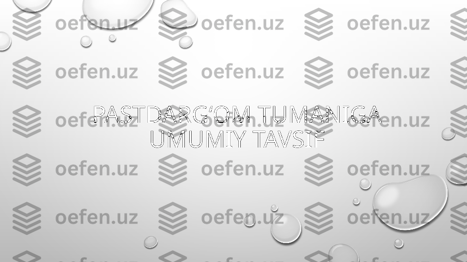 PASTDARGʻOM TUMANIGA
UMUMIY TAVSIF 