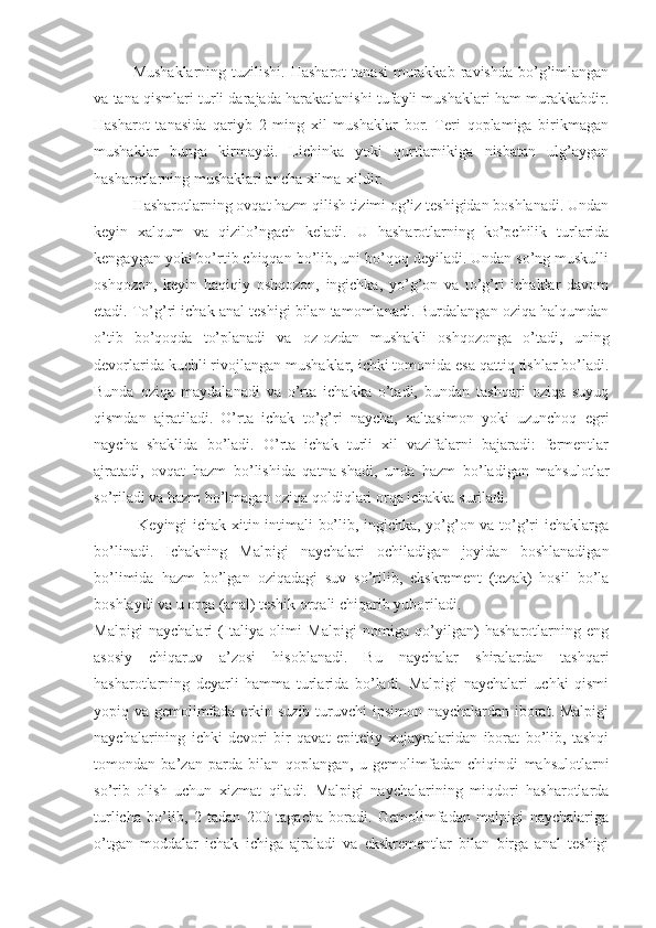 Mushaklarning  tuzilishi.  Hasharot   tanasi   murakkab  ravishda  bo’g’imlangan
va tana qismlari turli darajada harakatlanishi tufayli mushaklari ham murakkabdir.
Hasharot   tanasida   qariyb   2   ming   xil   mushaklar   bor.   Teri   qoplamiga   birikmagan
mushaklar   bunga   kirmaydi.   Lichinka   yoki   qurtlarnikiga   nisbatan   ulg’aygan
hasharotlarning mushaklari ancha xilma-xildir.
Hasharotlarning ovqat hazm qilish tizimi og’iz teshigidan boshlanadi. Undan
keyin   xalqum   va   qizilo’ngach   keladi.   U   hasharotlarning   ko’pchilik   turlarida
kengaygan yoki bo’rtib chiqqan bo’lib, uni bo’qoq deyiladi. Undan so’ng muskulli
oshqozon,   keyin   haqiqiy   oshqozon,   ingichka,   yo’g’on   va   to’g’ri   ichaklar   davom
etadi. To’g’ri ichak anal teshigi bilan tamomlanadi. Burdalangan oziqa halqumdan
o’tib   bo’qoqda   to’planadi   va   oz-ozdan   mushakli   oshqozonga   o’tadi,   uning
devorlarida kuchli rivojlangan mushaklar, ichki tomonida esa qattiq tishlar bo’ladi.
Bunda   oziqa   maydalanadi   va   o’rta   ichakka   o’tadi,   bundan   tashqari   oziqa   suyuq
qismdan   ajratiladi.   O’rta   ichak   to’g’ri   naycha,   xaltasimon   yoki   uzunchoq   egri
naycha   shaklida   bo’ladi.   O’rta   ichak   turli   xil   vazifalarni   bajaradi:   fermentlar
ajratadi,   ovqat   hazm   bo’lishida   qatna-shadi,   unda   hazm   bo’ladigan   mahsulotlar
so’riladi va hazm bo’lmagan oziqa qoldiqlari orqa ichakka suriladi.
  Keyingi ichak xitin intimali bo’lib, ingichka, yo’g’on va to’g’ri ichaklarga
bo’linadi.   Ichakning   Malpigi   naychalari   ochiladigan   joyidan   boshlanadigan
bo’limida   hazm   bo’lgan   oziqadagi   suv   so’rilib,   ekskrement   (tezak)   hosil   bo’la
boshlaydi va u orqa (anal) teshik orqali chiqarib yuboriladi.
Malpigi   naychalari   (Italiya   olimi   Malpigi   nomiga   qo’yilgan)   hasharotlarning   eng
asosiy   chiqaruv   a’zosi   hisoblanadi.   Bu   naychalar   shiralardan   tashqari
hasharotlarning   deyarli   hamma   turlarida   bo’ladi.   Malpigi   naychalari   uchki   qismi
yopiq va gemolimfada erkin suzib turuvchi  ipsimon naychalardan iborat. Malpigi
naychalarining   ichki   devori   bir   qavat   epiteliy   xujayralaridan   iborat   bo’lib,   tashqi
tomondan   ba’zan   parda   bilan   qoplangan,   u   gemolimfadan   chiqindi   mahsulotlarni
so’rib   olish   uchun   xizmat   qiladi.   Malpigi   naychalarining   miqdori   hasharotlarda
turlicha   bo’lib,   2   tadan   200   tagacha   boradi.   Gemolimfadan   malpigi   naychalariga
o’tgan   moddalar   ichak   ichiga   ajraladi   va   ekskrementlar   bilan   birga   anal   teshigi 