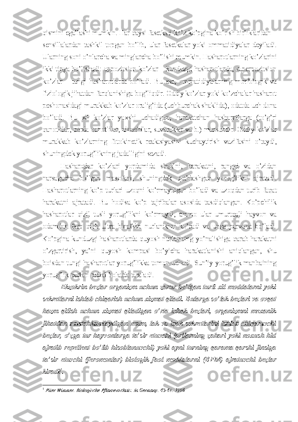 qismini egallashi mumkin. Har qaysi fasetkali ko’z ko’pgina ko’rish birliklaridan –
sensillalardan   tashkil   topgan   bo’lib,   ular   fasetkalar   yoki   ommatidiyalar   deyiladi.
Ularning soni o’nlarcha va minglarcha bo’lishi mumkin. Hasharotlarning ko’zlarini
ikki tipga bo’lishadi: oppozitsion ko’zlar – kunduzgi hasharotlarda, superpozitsion
ko’zlar   –   tungi   hasharotlarda   bo’ladi.   Bu   esa,   ommatidiyalarning   morfologik   va
fiziologik jihatdan farqlanishiga bog’liqdir. Oddiy ko’zlar yoki ko’zchalar hasharot
peshonasidagi murakkab ko’zlar oralig’ida (uchburchak shaklida), odatda uch dona
bo’ladi.   Bu   xil   ko’zlar   yaxshi   uchadigan,   harakatchan   hasharotlarga   (to’g’ri
qanotlilar, parda qanotlilar, ninachilar, suvaraklar va b.) mansubdir. Oddiy ko’zlar
murakkab   ko’zlarning   fotokinetik   reaktsiyasini   kuchaytirish   vazifasini   o’taydi,
shuningdek yorug’likning jadalligini sezadi. 
Hasharotlar   ko’zlari   yordamida   shaklni,   harakatni,   rangni   va   o’zidan
narsagacha   bo’lgan   masofani,   shuningdek   qutblashgan   yorug’likni   ajratadi.
Hasharotlarning   ko’p   turlari   uzoqni   ko’rmaydigan   bo’ladi   va   uzoqdan   turib   faqat
harakatni   ajratadi.   Bu   hodisa   ko’p   tajribalar   asosida   tasdiqlangan.   Ko’pchilik
hasharotlar   qizil   tusli   yorug’likni   ko’rmaydi,   ammo   ular   umurtqali   hayvon   va
odamdan   farq   qilib   ultra   binafsha   nurlanishni   ko’radi   va   unga   parvona   bo’ladi.
Ko’pgina kunduzgi hasharotlarda quyosh nurlarining yo’nalishiga qarab harakatni
o’zgartirish,   ya’ni   quyosh   kompasi   bo’yicha   harakatlanishi   aniqlangan,   shu
boisdan tungi hasharotlar yorug’likka tomon uchadi. Sun’iy yorug’lik manbaining
yorug’lik nurlari radial holatda taraladi. 
Ekzokrin   bezlar  organizm   uchun  zarur   bo’lgan  turli   xil   moddalarni   yoki
sekretlarni ishlab chiqarish uchun xizmat qiladi. Bularga so’lak bezlari va ovqat
hazm   qilish   uchun   xizmat   qiladigan   o’rta   ichak   bezlari,   organizmni   mexanik
jihatdan   mustahkamlaydigan   mum,   lak   va   ipak   sekretlarini   ishlab   chiqaruvchi
bezlar,  o’zga  tur hayvonlarga  ta’sir  etuvchi  (arilarning zahari  yoki  noxush hid
ajratib   repellent   bo’lib   hisoblanuvchi)   yoki   ayni   turning   qarama-qarshi   jinsiga
ta’sir   etuvchi   (feromonlar)   biologik   faol   moddalarni   (BFM)   ajratuvchi   bezlar
kiradi 1
.  
1
  Piter Wimmer. Biologische Pflansenschutz. In Germany. 43-48 . 1990 