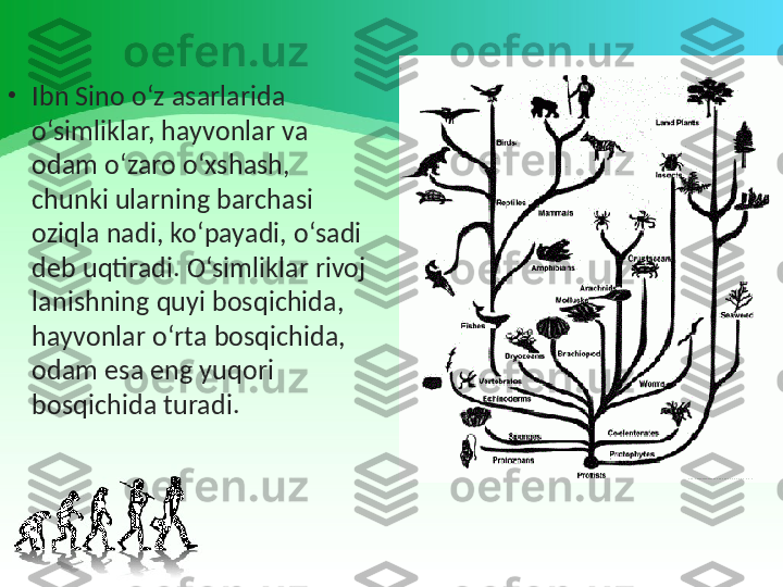 •
Ibn Sino o‘z asarlarida 
o‘simliklar, hayvonlar va 
odam o‘zaro o‘xshash, 
chunki ularning barchasi 
oziqla nadi, ko‘payadi, o‘sadi 
deb uqtiradi. O‘simliklar rivoj 
lanishning quyi bosqichida, 
hayvonlar o‘rta bosqichida, 
odam esa eng yuqori 
bosqichida turadi. 