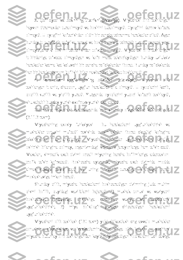 3.   Qo’l-oyoq   va   boshning   titarishi   (astaziya) .   Miyachasi   olib   tashlangan
hayvon   titramasdan   turaolmaydi   va   boshini   tutaolmaydi.   Oyog’ini   darrov   ko’tara
olmaydi. U oyog’ini ko’tarishdan oldin bir qancha tebranma harakatlar qiladi. Agar
bunday it  turg’azib qo’yilsa, tanasi va boshi hamisha tebranib turadi, ovqatni yeya
olmaydi,chunki   boshini   tebranishdan   to’xtata   olmaydi.   Miyachasi   olib   tashlangan
it   birdaniga   to’xtata   olmaydigan   va   ko’p   marta   takrorlaydigan   bunday   uzluksiz
harakatlar ketma-ket keluvchi bir qancha reflekslardan iborat. Bunday reflekslarda
har bir harakat tamom bo’lishi bilan navbatdagi harakat boshlanadi.
4.   Harakatlar   uyg’unligining   buzilishi   (ataksiya).   Miyachasi   olib
tashlangan   it   aniq,   chaqqon,   uyg’un   harakatlar   qila   olmaydi.   U   oyoqlarini   kerib,
qoqilib-surilib   va   yiqilib   yuradi.   Yurganda   oyoqlarini   yuqori   ko’tarib   tashlaydi,
shu sababli bunday yurish «xo’roz» yurish deb ataladi. 
Odamning   miyachasi   zararlanganda   ham   shunday   o’zgarishlar   kelib   chiqadi
(3.11.3-rasm). 
Miyachaning   asosiy   funksiyasi   -   bu   harakatlarni   uyg’unlashtirish   va
mushaklar   tonusini   mu’tadil   ravishda   taqsimlashdan   iborat   ekanligi   ko’pgina
tekshirishlar   bilan   aniqlangan.   Miyacha   harakatlar   uyg’unlashishini   amalga
oshirish   bilangina   qolmay,   organizmdagi   vegetativ   jarayonlarga   ham   ta’sir   etadi.
Masalan,   simpatik   asab   tizimi   orqali   miyaning   barcha   bo’limlariga   adaptasion-
trofik   ta’sir   ko’rsatadi.   Boshqacha   aytganda,   miyacha   asab   tizimida   modda
almashinuviga   ta’sir   etadi   va   uning   o’zgarib   turadigan   sharoitga   qarab
moslashuviga imkon beradi. 
Shunday   qilib,   miyacha   harakatlarni   boshqaradigan   tizimning   juda   muhim
qismi   bo’lib,   quyidagi   vazifalarni   bajaradi:   1)   mushak   tonusi   va   vaziyatni
boshqarish;   2)maqsadga   erishishga   qaratilgan   vaziyat   va   harakatlarni
uyg’unlashtirish;   3)   miya   po’stlog’i   yuzaga   chiqaradigan   harakatlarni
uyg’unlashtirish.
Miyachani   olib   tashlash   (130-rasm)   yoki   shikastlash   eng   avvalo   mushaklar
tonusining   o’zgarishiga   va   harakatlarning   buzilishiga   olib   keladi.   L.Lyuchiani
miyacha butunlay olib tashlangandan keyin ro’y beradigan hodisalarni uch davrga 