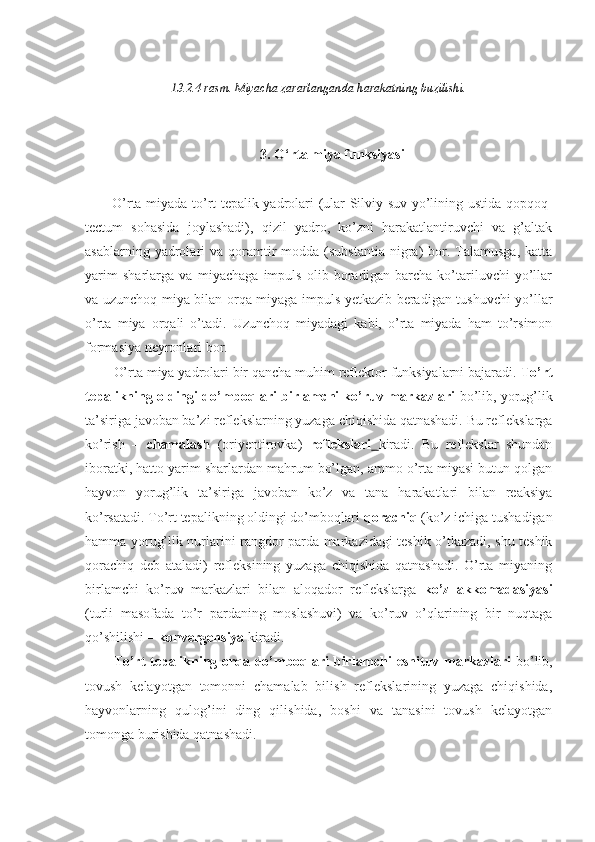 13.2.4-rasm. Miyacha zararlanganda harakatning buzilishi.
3. O‘rta miya funksiyasi
O’rta miyada to’rt tepalik yadrolari (ular Silviy suv yo’lining ustida qopqoq-
tectum   sohasida   joylashadi),   qizil   yadro,   ko’zni   harakatlantiruvchi   va   g’altak
asablarning  yadrolari   va qoramtir   modda (substantia   nigra)  bor. Talamusga,  katta
yarim   sharlarga   va   miyachaga   impuls   olib   boradigan   barcha   ko’tariluvchi   yo’llar
va uzunchoq miya bilan orqa miyaga impuls yetkazib beradigan tushuvchi yo’llar
o’rta   miya   orqali   o’tadi.   Uzunchoq   miyadagi   kabi,   o’rta   miyada   ham   to’rsimon
formasiya neyronlari bor.
O’rta miya yadrolari bir qancha muhim reflektor funksiyalarni bajaradi.  To’rt
tepalikning oldingi do’mboqlari birlamchi ko’ruv markazlari   bo’lib, yorug’lik
ta’siriga javoban ba’zi reflekslarning yuzaga chiqishida qatnashadi. Bu reflekslarga
ko’rish   –   chamalash   (oriyentirovka)   reflekslari   kiradi.   Bu   reflekslar   shundan
iboratki, hatto yarim sharlardan mahrum bo’lgan, ammo o’rta miyasi butun qolgan
hayvon   yorug’lik   ta’siriga   javoban   ko’z   va   tana   harakatlari   bilan   reaksiya
ko’rsatadi. To’rt tepalikning oldingi do’mboqlari  qorachiq  (ko’z ichiga tushadigan
hamma yorug’lik nurlarini rangdor parda markazidagi teshik o’tkazadi, shu teshik
qorachiq   deb   ataladi)   refleksining   yuzaga   chiqishida   qatnashadi.   O’rta   miyaning
birlamchi   ko’ruv   markazlari   bilan   aloqador   reflekslarga   ko’z   akkomadasiyasi
(turli   masofada   to’r   pardaning   moslashuvi)   va   ko’ruv   o’qlarining   bir   nuqtaga
qo’shilishi –  konvergensiya  kiradi.
To’rt tepalikning orqa do’mboqlari birlamchi eshituv markazlari   bo’lib,
tovush   kelayotgan   tomonni   chamalab   bilish   reflekslarining   yuzaga   chiqishida,
hayvonlarning   qulog’ini   ding   qilishida,   boshi   va   tanasini   tovush   kelayotgan
tomonga burishida qatnashadi. 