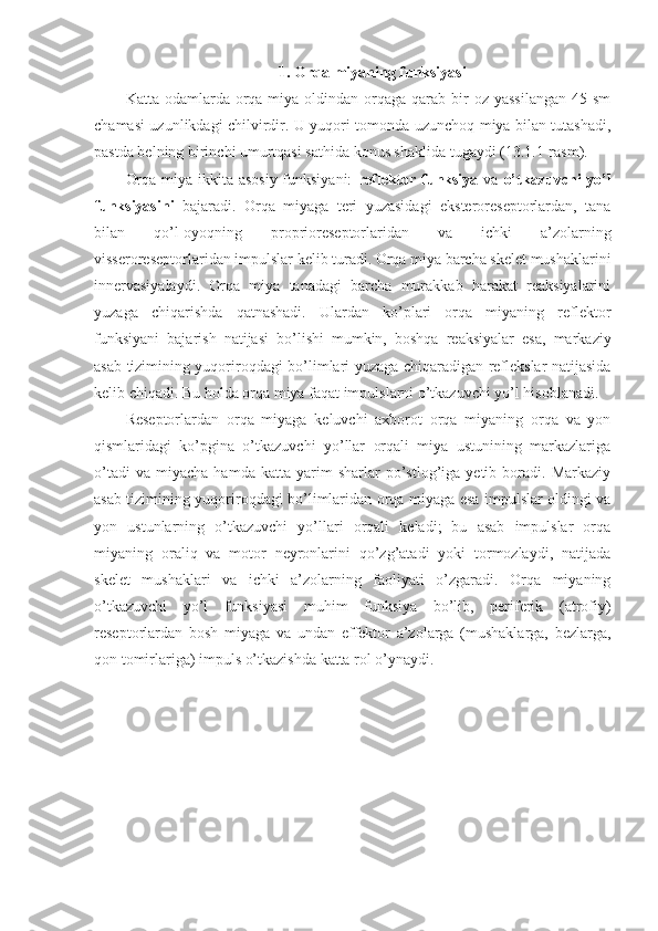 1. Orqa miyaning funksiyasi
Katta  odamlarda  orqa miya  oldindan orqaga  qarab  bir  oz  yassilangan   45 sm
chamasi uzunlikdagi chilvirdir. U yuqori tomonda uzunchoq miya bilan tutashadi,
pastda belning birinchi umurtqasi sathida konus shaklida tugaydi (13.1.1-rasm).
Orqa miya ikkita asosiy funksiyani:   reflektor funksiya   va   o’tkazuvchi yo’l
funksiyasini   bajaradi.   Orqa   miyaga   teri   yuzasidagi   eksteroreseptorlardan,   tana
bilan   qo’l-oyoqning   proprioreseptorlaridan   va   ichki   a’zolarning
visseroreseptorlaridan impulslar kelib turadi. Orqa miya barcha skelet mushaklarini
innervasiyalaydi.   Orqa   miya   tanadagi   barcha   murakkab   harakat   reaksiyalarini
yuzaga   chiqarishda   qatnashadi.   Ulardan   ko’plari   orqa   miyaning   reflektor
funksiyani   bajarish   natijasi   bo’lishi   mumkin,   boshqa   reaksiyalar   esa,   markaziy
asab tizimining yuqoriroqdagi bo’limlari yuzaga chiqaradigan reflekslar natijasida
kelib chiqadi. Bu holda orqa miya faqat impulslarni o’tkazuvchi yo’l hisoblanadi. 
Reseptorlardan   orqa   miyaga   keluvchi   axborot   orqa   miyaning   orqa   va   yon
qismlaridagi   ko’pgina   o’tkazuvchi   yo’llar   orqali   miya   ustunining   markazlariga
o’tadi   va   miyacha   hamda   katta   yarim   sharlar   po’stlog’iga  yetib   boradi.   Markaziy
asab tizimining yuqoriroqdagi bo’limlaridan orqa miyaga esa impulslar oldingi va
yon   ustunlarning   o’tkazuvchi   yo’llari   orqali   keladi;   bu   asab   impulslar   orqa
miyaning   oraliq   va   motor   neyronlarini   qo’zg’atadi   yoki   tormozlaydi,   natijada
skelet   mushaklari   va   ichki   a’zolarning   faoliyati   o’zgaradi.   Orqa   miyaning
o’tkazuvchi   yo’l   funksiyasi   muhim   funksiya   bo’lib,   periferik   (atrofiy)
reseptorlardan   bosh   miyaga   va   undan   effektor   a’zolarga   (mushaklarga,   bezlarga,
qon tomirlariga) impuls o’tkazishda katta rol o’ynaydi. 