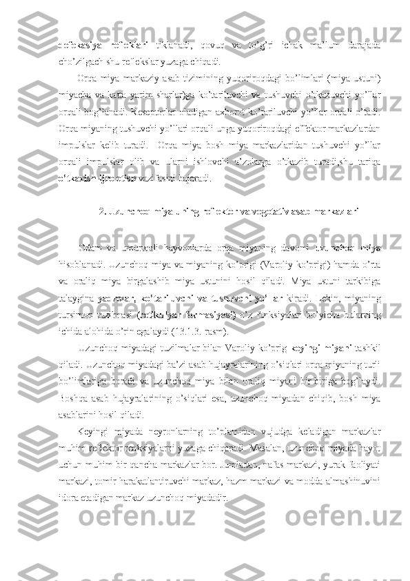 defekasiya   refleklari   tiklanadi,   qovuq   va   to’g’ri   ichak   ma’lum   darajada
cho’zilgach shu reflekslar yuzaga chiqadi.
Orqa   miya   markaziy   asab   tizimining   yuqoriroqdagi   bo’limlari   (miya   ustuni)
miyacha   va   katta   yarim   sharlar)ga   ko’tariluvchi   va   tushuvchi   o’tkazuvchi   yo’llar
orqali bog’lanadi. Reseptorlar  oladigan axborot ko’tariluvchi  yo’llar orqali o’tadi.
Orqa miyaning tushuvchi yo’llari orqali unga yuqoriroqdagi effektor markazlardan
impulslar   kelib   turadi.     Orqa   miya   bosh   miya   markazlaridan   tushuvchi   yo’llar
orqali   impulslar   olib   va   ularni   ishlovchi   a’zolarga   o’tkazib   turadi,shu   tariqa
o’tkazish-ijro etish  vazifasini bajaradi.
2. Uzunchoq miya uning reflektor va vegetativ asab markazlari
Odam   va   umurtqali   hayvonlarda   orqa   miyaning   davomi   uzunchoq   miya
hisoblanadi. Uzunchoq miya va miyaning ko’prigi (Varoliy ko’prigi) hamda o’rta
va   oraliq   miya   birgalashib   miya   ustunini   hosil   qiladi.   Miya   ustuni   tarkibiga
talaygina   yadrolar,   ko’tariluvchi   va   tushuvchi   yo’llar   kiradi.   Lekin,   miyaning
tursimon   tuzilmasi   (retikulyar   formasiyasi)   o’z   funksiyalari   bo’yicha   bularning
ichida alohida o’rin egalaydi (13.1.3.-rasm).
Uzunchoq miyadagi tuzilmalar bilan Varoliy ko’prig   keyingi  miyani   tashkil
qiladi. Uzunchoq miyadagi ba’zi asab hujayralarining o’siqlari orqa miyaning turli
bo’limlariga   boradi   va   uzunchoq   miya   bilan   oraliq   miyani   bir-biriga   bog’laydi.
Boshqa   asab   hujayralarining   o’siqlari   esa,   uzunchoq   miyadan   chiqib,   bosh   miya
asablarini hosil qiladi.
Keyingi   miyada   neyronlarning   to’plamidan   vujudga   keladigan   markazlar
muhim reflektor reaksiyalarni yuzaga chiqaradi. Masalan, uzunchoq miyada hayot
uchun muhim bir qancha markazlar bor. Jumladan, nafas markazi, yurak faoliyati
markazi, tomir harakatlantiruvchi markaz, hazm markazi va modda almashinuvini
idora etadigan markaz uzunchoq miyadadir. 