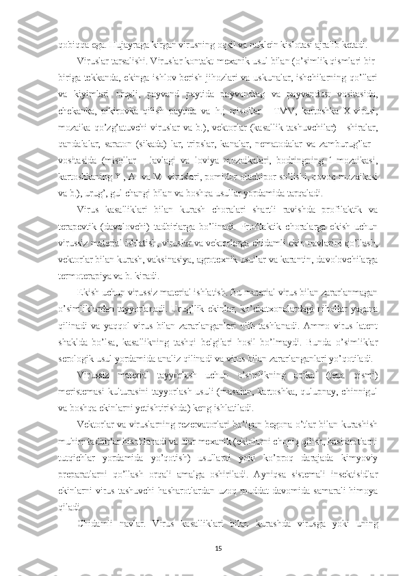 qobiqqa ega. Hujayraga kirgan virusning oqsil va nuklein kislotasi ajralib ketadi.
Viruslar tarsalishi. Viruslar kontakt-mexanik usul bilan (o’simlik qismlari bir-
biriga tekkanda, ekinga ishlov berish jihozlari va uskunalar, ishchilarning qo’llari
va   kiyimlari   orqali,   payvand   paytida   payvandtag   va   payvandust   vositasida,
chekanka,   pikirovka   qilish   paytida   va   h.;   misollar   -   TMV,   kartoshka   X-virusi,
mozaika   qo’zg’atuvchi   viruslar   va   b.),   vektorlar   (kasallik   tashuvchilar)   -   shiralar,
qandalalar,   saraton   (sikada)   lar,   tripslar,   kanalar,   nematodalar   va   zamburug’lar   -
vositasida   (misollar   -   lavlagi   va   loviya   mozaikalari,   bodringning   1-mozaikasi,
kartoshkaning ¥-, A- va M- viruslari, pomidor olachipor so’lishi, qovoq mozaikasi
va b.), urug’, gul changi bilan va boshqa usullar yordamida tarqaladi.
Virus   kasalliklari   bilan   kurash   choralari   shartli   ravishda   profilaktik   va
terapevtik   (davolovchi)   tadbirlarga   bo’linadi.   Profilaktik   choralarga   ekish   uchun
virussiz material ishlatish, viruslar va vektorlarga chidamli ekin navlarini qo’llash,
vektorlar bilan kurash, vaksinasiya, agrotexnik usullar va karantin, davolovchilarga
termoterapiya va b. kiradi.
Ekish uchun virussiz material ishlatish. Bu material virus bilan zararlanmagan
o’simliklardan   tayyorlanadi.   Urug’lik   ekinlar,   ko’chatxonalardagi   nihollar   yagana
qilinadi   va   yaqqol   virus   bilan   zararlanganlari   olib   tashlanadi.   Ammo   virus   latent
shaklda   bo’lsa,   kasallikning   tashqi   belgilari   hosil   bo’lmaydi.   Bunda   o’simliklar
serologik usul yordamida analiz qilinadi va virus bilan zararlanganlari yo’qotiladi.
Virussiz   material   tayyorlash   uchun   o’simlikning   apikal   (tepa   qismi)
meristemasi  kulturasini  tayyorlash usuli  (masalan,  kartoshka, qulupnay, chinnigul
va boshqa ekinlarni yetishtirishda) keng ishlatiladi.
Vektorlar va viruslarning rezervatorlari bo’lgan begona o’tlar bilan kurashish
muhim tadbirlar hisoblanadi va ular mexanik (ekinlarni chopiq qilish, hasharotlarni
tutqichlar   yordamida   yo’qotish)   usullarni   yoki   ko’proq   darajada   kimyoviy
preparatlarni   qo’llash   orqali   amalga   oshiriladi.   Ayniqsa   sistemali   insektisidlar
ekinlarni  virus  tashuvchi  hasharotlardan  uzoq  muddat  davomida   samarali   himoya
qiladi.
Chidamli   navlar.   Virus   kasalliklari   bilan   kurashda   virusga   yoki   uning
15 