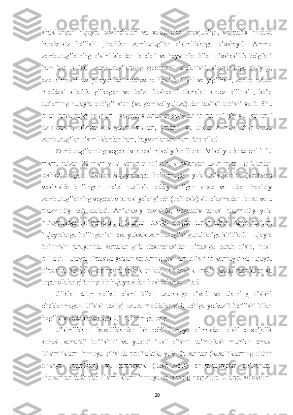 shakllangan   hujayra   devorchalari   va   vakuolalari   mavjudligi,   vegetativ   holatda
harakatsiz   bo’lishi   jihatidan   zamburug’lar   o’simliklarga   o’xshaydi.   Ammo
zamburug’larning   o’simliklardan   farqlari   va   hayvonlar   bilan   o’xshashlik   belgilari
ham   bor.   Bular   -   zamburug’larning   geterotrof   oziqlanishi,   vitaminlarga   ehtiyoji,
azot   almashinuvi   jarayonida   mochevina   hosil   bo’lishi   va   yig’ilishi,   zahira   ozuqa
moddasi   sifatida   glikogen   va   ba’zi   boshqa   birikmalar   sintez   qilinishi,   ko’p
turlarning  hujayra   qobig’i   xitin   (va   gemisellyuloza)   dan   tashkil   topishi   va   b.  Shu
bilan birga ba’zi belgilari - vegetativ tanasi miseliydan iborat bo’lishi va osmotrof
oziqlanishi;   o’ziga   xos   yadro   sikllari,   getero-   va   dikarioz   mavjudligi   bilan
zamburug’lar o’simliklardan ham, hayvonlardan ham farq qiladi.
Zamburug’larning vegetativ tanasi miseliydan iborat. Miseliy odatda eni 1-10
mkm,   ba’zan   20   mkm   yoki   kengroq   bo’lgan,   shoxlangan   uzun   iplar   -   gifalardan
tashkil   topgan.   Gifalar   hujayralarga   bo’linmagan   yoki   to’siqchalar   (septalar)
vositasida   bo’lingan.   Ba’zi   tuzilishi   oddiy   bo’lgan   soxta   va   tuban   haqiqiy
zamburug’larning vegetativ tanasi yalang’och (qobiqsiz) sitoplazmadan iborat va u
plazmodiy   deb   ataladi.   An’anaviy   ravishda,   vegetativ   tanasi   plazmodiy   yoki
hujayralarga   bo’linmagan   gifalardan   tashkil   topgan   turlar   tuban   zamburug’lar,
hujayralarga bo’linganlari esa yuksak zamburug’lar guruhlariga kiritiladi. Hujayra
bo’linishi   jarayonida   septalar   gifa   devorchasidan   o’rtasiga   qarab   o’sib,   hosil
bo’ladi. Hujayra o’rtasiga yetgan septaning qismlari qo’shilib ketmaydi va hujayra
o’rtasida   bir   yoki   bir   necha   teshik   qoladi.   Bu   teshik   orqali   ozuqa   moddalar   va
organellalar gifaning bir hujayrasidan boshqalariga o’tadi.
Gifalar   doim   apikal   qismi   bilan   uzunasiga   o’sadi   va   ularning   o’sishi
cheklanmagan.  O’sish  tezligi  ozuqa  moddalar  gifa  uchiga  yetkazib  berilishi  bilan
bog’liq va odatda soatiga 0,1-6,0 mm ga teng.
O’simliklarni   kasalliklardan   ishonchli   himoya   qilmasdan   qishloq   xo’jalik
sohasi   samarali   bo’lishini   va   yuqori   hosil   olishni   ta’minlash   mumkin   emas.
O’simliklarni   himoya   qilishda   profilaktik,   yoki   fitosanitar   (kasalliklarning   oldini
olishga   qaratilgan)   va   terapevtik   (davolovchi)   chora-tadbirlar   qo’llanadi.
Fitosanitar   tadbirlar   o’simliklarni   himoya   qilishning   negizidir.   Ularga   seleksion-
20 