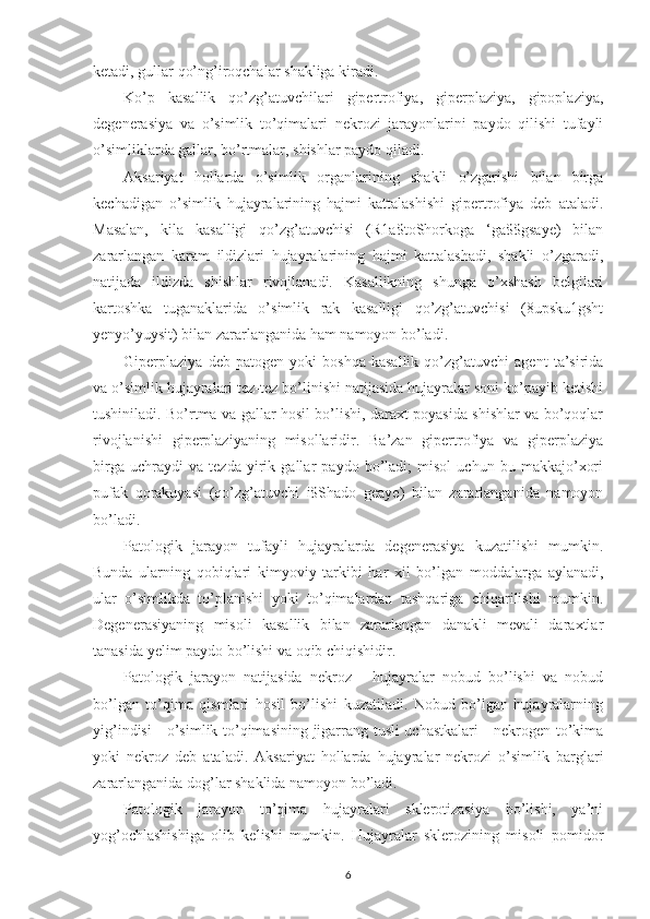 ketadi ,  gullar   qo’ng’iroqchalar   shakliga   kiradi .
Ko’p   kasallik   qo’zg’atuvchilari   gipertrofiya,   giperplaziya,   gipoplaziya,
degenerasiya   va   o’simlik   to’qimalari   nekrozi   jarayonlarini   paydo   qilishi   tufayli
o’simliklarda gallar, bo’rtmalar, shishlar paydo qiladi.
Aksariyat   hollarda   o’simlik   organlarining   shakli   o’zgarishi   bilan   birga
kechadigan   o’simlik   hujayralarining   hajmi   kattalashishi   gipertrofiya   deb   ataladi.
Masalan,   kila   kasalligi   qo’zg’atuvchisi   (R1a$toShorkoga   ‘ga$$gsaye)   bilan
zararlangan   karam   ildizlari   hujayralarining   hajmi   kattalashadi,   shakli   o’zgaradi,
natijada   ildizda   shishlar   rivojlanadi.   Kasallikning   shunga   o’xshash   belgilari
kartoshka   tuganaklarida   o’simlik   rak   kasalligi   qo’zg’atuvchisi   (8upsku1gsht
yenyo’yuysit) bilan zararlanganida ham namoyon bo’ladi.
Giperplaziya   deb   patogen   yoki   boshqa   kasallik   qo’zg’atuvchi   agent   ta’sirida
va o’simlik hujayralari tez-tez bo’linishi natijasida hujayralar soni ko’payib ketishi
tushiniladi. Bo’rtma va gallar hosil bo’lishi, daraxt poyasida shishlar va bo’qoqlar
rivojlanishi   giperplaziyaning   misollaridir.   Ba’zan   gipertrofiya   va   giperplaziya
birga   uchraydi   va   tezda   yirik   gallar   paydo   bo’ladi;   misol   uchun   bu   makkajo’xori
pufak   qorakuyasi   (qo’zg’atuvchi   i$Shado   geaye)   bilan   zararlanganida   namoyon
bo’ladi.
Patologik   jarayon   tufayli   hujayralarda   degenerasiya   kuzatilishi   mumkin.
Bunda   ularning   qobiqlari   kimyoviy   tarkibi   har   xil   bo’lgan   moddalarga   aylanadi,
ular   o’simlikda   to’planishi   yoki   to’qimalardan   tashqariga   chiqarilishi   mumkin.
Degenerasiyaning   misoli   kasallik   bilan   zararlangan   danakli   mevali   daraxtlar
tanasida yelim paydo bo’lishi va oqib chiqishidir. 
Patologik   jarayon   natijasida   nekroz   -   hujayralar   nobud   bo’lishi   va   nobud
bo’lgan   to’qima   qismlari   hosil   bo’lishi   kuzatiladi.   Nobud   bo’lgan   hujayralarning
yig’indisi  - o’simlik to’qimasining jigarrang tusli uchastkalari  - nekrogen to’kima
yoki   nekroz   deb   ataladi.   Aksariyat   hollarda   hujayralar   nekrozi   o’simlik   barglari
zararlanganida dog’lar shaklida namoyon bo’ladi.
Patologik   jarayon   to’qima   hujayralari   sklerotizasiya   bo’lishi,   ya’ni
yog’ochlashishiga   olib   kelishi   mumkin.   Hujayralar   sklerozining   misoli   pomidor
6 