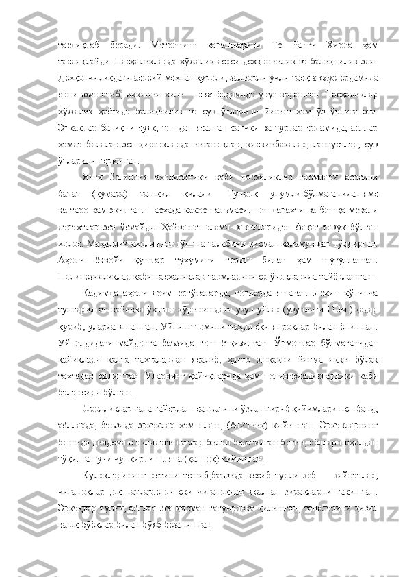 тасдиқлаб   беради.   Метронинг   қарашларини   Те   Ранги   Хироа   ҳам
тасдиқлайди. Пасҳаликларда хўжалик асоси дехқончилик ва балиқчилик эди.
Дехқончиликдаги асосий меҳнат қуроли, залворли учли таёқ  акауе   ёрдамида
ерни   юмшатиб;   иккинчи   хили   — ока   ёрдамида   ур уғ   кадашган.   Пасҳаликлар
хўжалик   ҳаётида   балиқчилик   ва   сув   ўтларини   йиғиш   ҳам   ўз   ўрнига   эта.
Эрка к лар   балиқни   суяк,   тошдан   ясалган   санчки   ва   турлар   ёрдамида,   аёллар
ҳамда   болалар   эса   қирғоқларда   чиғаноқлар,   кискичбакалар,   лангустлар,   сув
ўтларини теришган.
Янги   Зеландия   аҳолисиники   каби   пас х аликлар   таомлари   асосини
батат     (кумара)     ташкил     қилади.     Т у проқ     унумли   бўлмаганидан ямс
ва таро кам э к илган. Пасхада какое пальмаси, нон дарахти ва бошқа мевали
дарахтлар   эса   ў смайди.   Ҳайвонот   олами   ва к илларидан   фақат   товуқ   бўлган
х олос. Маҳаллий аҳолининг гўштга талабини қисман каламушлар т ў лдирган.
Аҳоли   ёввойи   қушлар   тухумини   териш   билан   ҳам   шуғулланган.
Полинезияликлар каби пасҳаликлар таомларини ер ўчоқларида тайёрлашган.
Қадимда   аҳоли   ярим   ерт ў лаларда,   ғорларда   яшаган.   Лекин   кўпинча
тунтарилган қайиқка ўхшаш к ў ринишдаги узун уйлар (узунлиги 110м.) қадар
қуриб, уларда яшашган. Уйнинг томини паҳол ёки япроқлар билан ёпишган.
Уй   олдидаги   майдонга   баъзида   тош   ётқизилган.   Ў рмонлар   бўлмаганидан
қайиқлари   калта   тахталардан   ясалиб,   ҳатто   эшкакни   йи ғ ма   икки   бўлак
тахтадан   қилишган.   Уларнинг   қайиқларида   ҳам   полинезияликларники   каби
балансири бўлган.
Оролликлар тапа тайёрлаш санъатини ўзлаштириб кийимлари пешбанд,
аёлларда,   баъзида   эрка к лар   ҳам   плаш,   (ёпинчиқ)   кийишган.   Эрка к ларнинг
бошида диадема ша к лидаги патлар билан безатилган боғич, аёллар поҳолдан
т ў қилган учи чункирли шляпа ( қ алпо қ ) кийишган.
Қуло қ ларининг   остини   тешиб,баъзида   кесиб   турли   зеб   —   зийнатлар ,
чиғаноқлар   ,оқ   патлар.ёғоч   ёки   чиғаноқдан   ясалган   зирақларни   такиштан.
Эркақлар   тулик,  аёллар   эса   қисман  татуировка   қилишган,   таналарини  қизил
ва оқ  б ўёқлар билан б ў яб безанишган. 