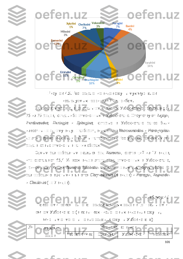 Paragini
7% Baccini
4%
Syrphini
34%
Pipizini
2%Brachiopini
10%Ceriodini
2%Eristalini
11%Eumerini
17% Milesini
3% Xylotini
1% Cheilosini
7% Volucellini
3%
Рисунок 4.5.   Распределение видов фауны мух-журчалок
исследуемых территорий по трибам.
На родовом уровне, в центральном и южном Узбекистане представлены
35 из 39 родов, когда-либо отмеченных в Узбекистане.  Отсутствуют   Lejops,
Ferdinandea,   Heringia   и   Sphegina,   которые   в   Узбекистане   ранее   были
известны по одному виду.    Наоборот, виды родов  Neocnemodon  и  Parasyrphus
до этого времени не были найдены на территории Республики, тем самым эти
рода впервые отмечены в наших сборах.  
Самым   разнообразным   оказался   род   Eumerus,   состоящий   из   17   видов,
что   составляет   65,4   %   всех   видов   этого   рода   отмеченных   в   Узбекистане,
причем   один   из   них   Eumerus   bilobatus   оказался   новым   для   науки.   Далее   по
разнообразию   важными  являются   Chrysotoxum   (8 видов) и  Paragus, Eupeodes
и  Cheilosia  (по 7 видов).  
Таблица 4.1
Таксономическая полнота представленных родов в центральном и
южном Узбекистане (в кавычках число новых видов для фауны,
жирным отмечены новые рода для фауны Узбекистана)
№
Название
родов Количество видов
Палеарктика Средняя Узбекистан в сборах
101 
