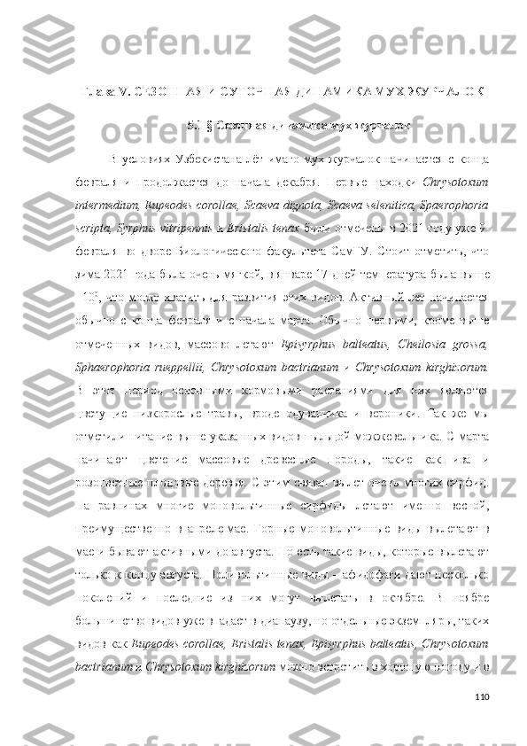 Глава V.  СЕЗОННАЯ И СУТОЧНАЯ ДИНАМИКА МУХ-ЖУРЧАЛОК 
5.1  §   Сезонная динамика мух-журчалок
В   условиях   Узбекистана   лёт   имаго   мух-журчалок   начинается   с   конца
февраля   и   продолжается   до   начала   декабря.   Первые   находки   Chrysotoxum
intermedium, Eupeodes corollae, Scaeva  dignota ,   Scaeva selenitica, Spaerophoria
scripta, Syrphus vitripennis  и  Eristalis tenax  были отмечены в 2021-году уже 9-
февраля   во   дворе   Биологического   факультета   СамГУ.   Стоит   отметить,   что
зима 2021 года была очень мягкой, в январе 17 дней температура  была выше
+10 0
,  что   могло   хватить   для   развития   этих   видов.   Активный  лет   начинается
обычно   с   конца   февраля   и   с   начала   марта.   Обычно   первыми,   кроме   выше
отмеченных   видов,   массово   летают   Episyrphus   balteatus,   Cheilosia   grossa,
Sphaerophoria   rueppellii,   Chrysotoxum   bactrianum   и   Chrysotoxum   kirghizorum.
В   этот   пери од   основными   кормовыми   растениями   для   них   являются
цветущие   низкорослые   травы,   вроде   одуванчика   и   вероники.   Так   же   мы
отметили питание выше указанных видов пыльцой можжевельника. С марта
начинают   цветение   массовые   древесные   породы,   такие   как   ива   и
розоцветные   плодовые   деревья.   С   этим   связан   вылет   очень   многих   сирфид.
На   равнинах   многие   моновольтинные   сирфиды   летают   именно   весной,
преимущественно   в   апреле-мае.   Горные   моновольтинные   виды   вылетают   в
мае и бывают активными до августа. Но есть такие виды, которые вылетают
только к концу августа. Поливольтинные виды – афидофаги дают несколько
поколений   и   последние   из   них   могут   вылетать   в   октябре.   В   ноябре
большинство видов уже впадает в диапаузу, но отдельные экземпляры, таких
видов как  Eupeodes corollae, Eristalis tenax, Episyrphus balteatus, Chrysotoxum
bactrianum  и   Chrysotoxum kirghizorum  можно встретить в хорошую погоду и в
110 