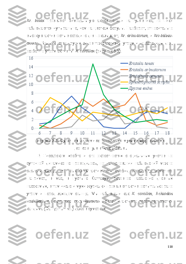 Er .   tenax   проявляет   бимодальную   активность   и   на   гулявнике,   но   пики
наблюдаются чуть раньше, чем  на цветках ферулы. Наоборот, относительно
высокую активность в середине дня показывают ,  Er .  arbustorum ,  и   Eristalinus
aeneus .   Большинство  других   видов  тоже   активны   утром   и  до   середины   дня,
особенно утром активны    E .  corollae   (рисунок  5.5).6	7	8	9	10	11	12	13	14	15	16	17	18	
0
2
4
6
8
10
12
14
16	
Eristalis tenax
Eristalis arbustorum
Eristalinus aeneus
Sphaero phoria scripta
Другие виды
Рисунок  5.5.   Суточная динамика посещения мухами журчалками
цветков гулявника Лёзеля.
В   Гиссарском   хребте   и   его   окрестностях   специальных   учетов   по
суточной   динамике   не   проводилось,   но   на   основании   наблюдений   можно
сделать   вывод,   что   колебания   активности   сирфид   здесь   еще   заметнее.
Например,   в   мае,   в   пустыне   Каттакум,   основное   население   дневных
насекомых, в том числе и мухи журчалки проявляют активность только рано
утром   и   перед   заходом   солнца.   Мы   наблюдали   как   E .   corollae ,   Ischiodon
scutellaris   и   некоторые   виды   Eumerus   летают   и   активно   посещают   цветки
кандыма (Calligonum sp.)  даже в сумерках . 
118 