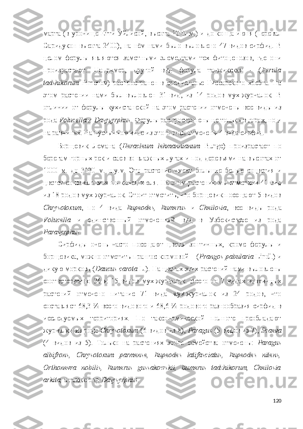 марта (в урочище Етти Уйлисой, высота  1000 м.)  и до конца июня (перевал
Саридукон   высота   2400),   на   нём   нами   было   выловлено   47   видов   сирфид.   В
целом   ферулы   являются   заметными   элементами   тех   фитоценозов,   где   они
произрастают.   Например,   другой   вид   ферула   таджикская   -   ( Ferula
tadshikorum   Pimenov)   распространен   в   среднегорье   Гиссарского   хребта.   На
этом   растении   нами   был   выловлен   31   вид,   из   14   родов   мух-журчалок.   В
отличии   от   ферулы   кухистанской   на   этом   растении   отмечены   все   виды   из
рода  Volucella   и  Dasysyrphus .   Ферулы распространены не только в горах, но и
на равнинах. На пустынном виде из этого рода отмечены 4 вида сирфид.  
Борщевик   Лемана   ( Heracleum   lehmannianum   Bunge)   произрастает   по
берегам горных рек и саев во влажных лугах и под деревьями на высотах от
1000   м.   до   3100   м.   н.у.м.   Это   растение   имеет   большие   белые   соцветия   и
цветет со начала мая по конец июля. На этом растении мы отметили 41 вид
из 18 родов мух-журчалок. Стоит отметить, что борщевик посещают 5 видов
Chrysotoxum ,   по   4   вида   Eupeodes ,   Eumerus   и   Cheilosia ,   все   виды   рода
Volucella   и   единственный   отмеченный   вид   в   Узбекистане   из   рода
Parasyrphus . 
Сирфиды   очень   часто   посещают   цветы   зонтичных,   кроме   ферулы   и
борщевика, можно отметить прангос кормовой – ( Prangos pabularia   Lindl.) и
дикую морковь ( Daucus carota  L.). На цветах этих растений нами выловлены
соответственно   26   и   15   видов   мух-журчалок.   Всего   на   7   видах   зонтичных
растений   отмечено   питание   71   вида   мух-журчалок   из   24   родов,   что
составляет 68,3 % всего видового и 68,6 % родового разнообразия сирфид в
исследуемых   территориях.   По   таксономической   полноте   преобладают
журчалки из рода   Chrysotoxum   (6 видов из 8),   Paragus   (5 видов из 7),   Scaeva
(4   видов   из   5).   Только   на   растениях   этого   семейства   отмечены:   Paragus
albifrons ,   Chrysotoxum   parmense ,   Eupeodes   latifasciatus ,   Eupeodes   nitens ,
Orthonevra   nobilis ,   Eu merus   g ussakowskii,   Eu merus   tadzhikorum,   Cheilosia
arkita ,  а также род   Dasysyrphus .
120 