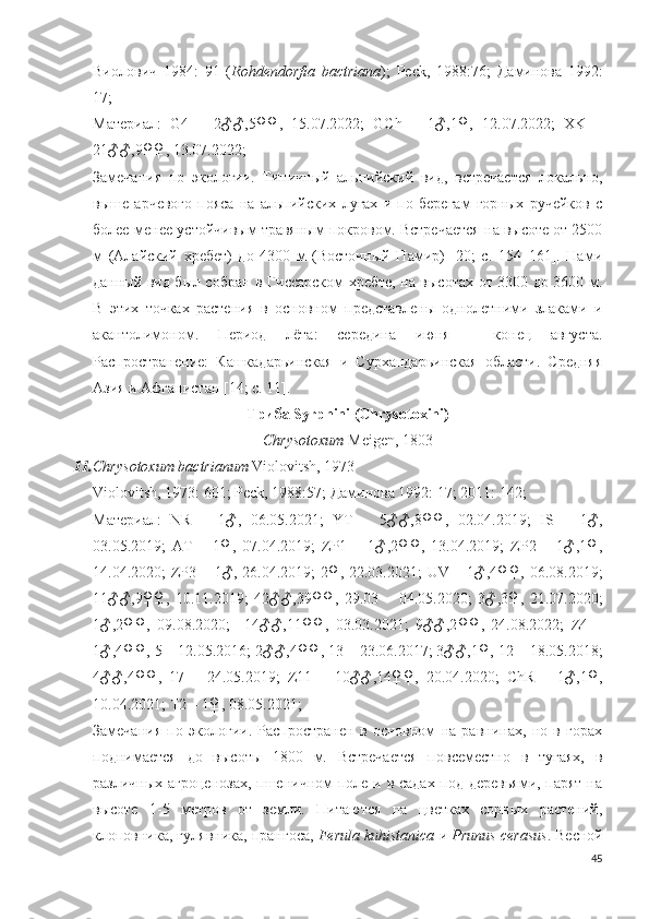 Виолович   1984:   91   ( Rohdendorfia   bactriana );   Peck,   1988:76;   Даминова   1992:
17; 
Материал:   G4   –   2♂♂,5♀♀,   15.07.2022;   GCh   –   1♂,1♀,   12.07.2022;   XK   –
21♂♂,9♀♀, 13.07.2022; 
Замечания   по   экологии.   Типичный   альпийский   вид,   встречается   локально,
выше   арчевого   пояса   на   альпийских   лугах   и   по   берегам   горных   ручейков   с
более-менее устойчивым травяным покровом. Встречается на высоте от 2500
м   (Алайский   хребет)   до   4300   м   (Восточный   Памир)   [20;   c.   154–161].   Нами
данный вид был собран в Гиссарском хребте, на высотах от 3300 до 3600 м.
В   этих   точках   растения   в   основном   представлены   однолетними   злаками   и
акантолимоном.   Период   лёта:   середина   июня   -   конец   августа.
Распространение:   Кашкадарьинская   и   Сурхандарьинская   области.   Средняя
Азия и Афганистан [ 14; c. 11 ]. 
Триба Syrphini ( Chrysotoxini)
Chrysotoxum  Meigen, 1803
11. Chrysotoxum bactrianum   Violoitsh, 1973
Violoitsh , 1973: 601; Peck, 1988:57; Даминова 1992: 17; 2011: 142;
Материал:   NR   –   1♂,   06.05.2021;   YT   –   5♂♂, 8♀♀,   02.04.2019;   IS   –   1♂,
03.05.2019;   AT   –   1♀,   07.04.2019;   ZP1   –   1♂,2♀♀,   13.04.2019;   ZP2   –   1♂,1♀,
14.04.2020; ZP3 – 1♂, 26.04.2019; 2♀, 22.03.2021; UV – 1♂,4♀♀, 06.08.2019;
11♂♂,9♀♀,   10.11.2019;   42♂♂,39♀♀,   29.03   –   04.05.2020;   3♂,3♀,   21.07.2020;
1♂,2♀♀,   09.08.2020;     14♂♂,11♀♀,   03.03.2021;   9♂♂,2 ♀♀,   24.08.2022;   Z4   –
1♂,4♀♀, 5 – 12.05.2016; 2♂♂,4♀♀, 13 – 23.06.2017; 3♂♂,1♀, 12 – 18.05.2018;
4♂♂,4♀♀,   17   –   24.05.2019;   Z11   –   10♂♂,14♀♀,   20.04.2020;   ChR   –   1♂,1♀,
10.04.2021; T2 – 1♀, 08.05.2021; 
Замечания   по   экологии.   Распространен   в   основном   на   равнинах,   но   в   горах
поднимается   до   высоты   1800   м.   Встречается   повсеместно   в   тугаях,   в
различных агроценозах,  пшеничном  поле и в садах под деревьями, парят  на
высоте   1-5   метров   от   земли.   Питаются   на   цветках   сорных   растений,
клоповника, гулявника, прангоса,  Ferula kuhistanica  и  Prunus cerasus . Весной
45 